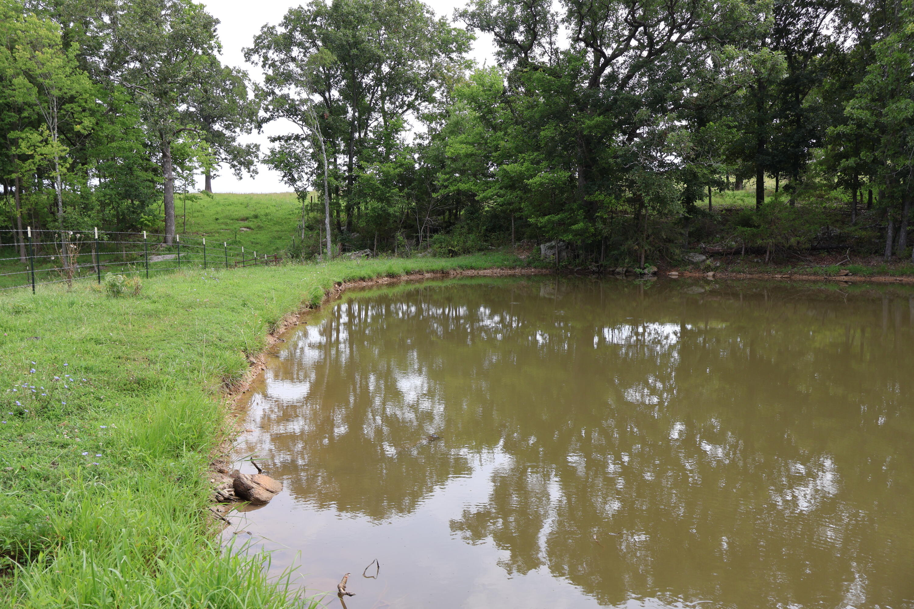 Photo 61 - Land for sale – 9551  State Highway Ff   Mountain Grove, MO