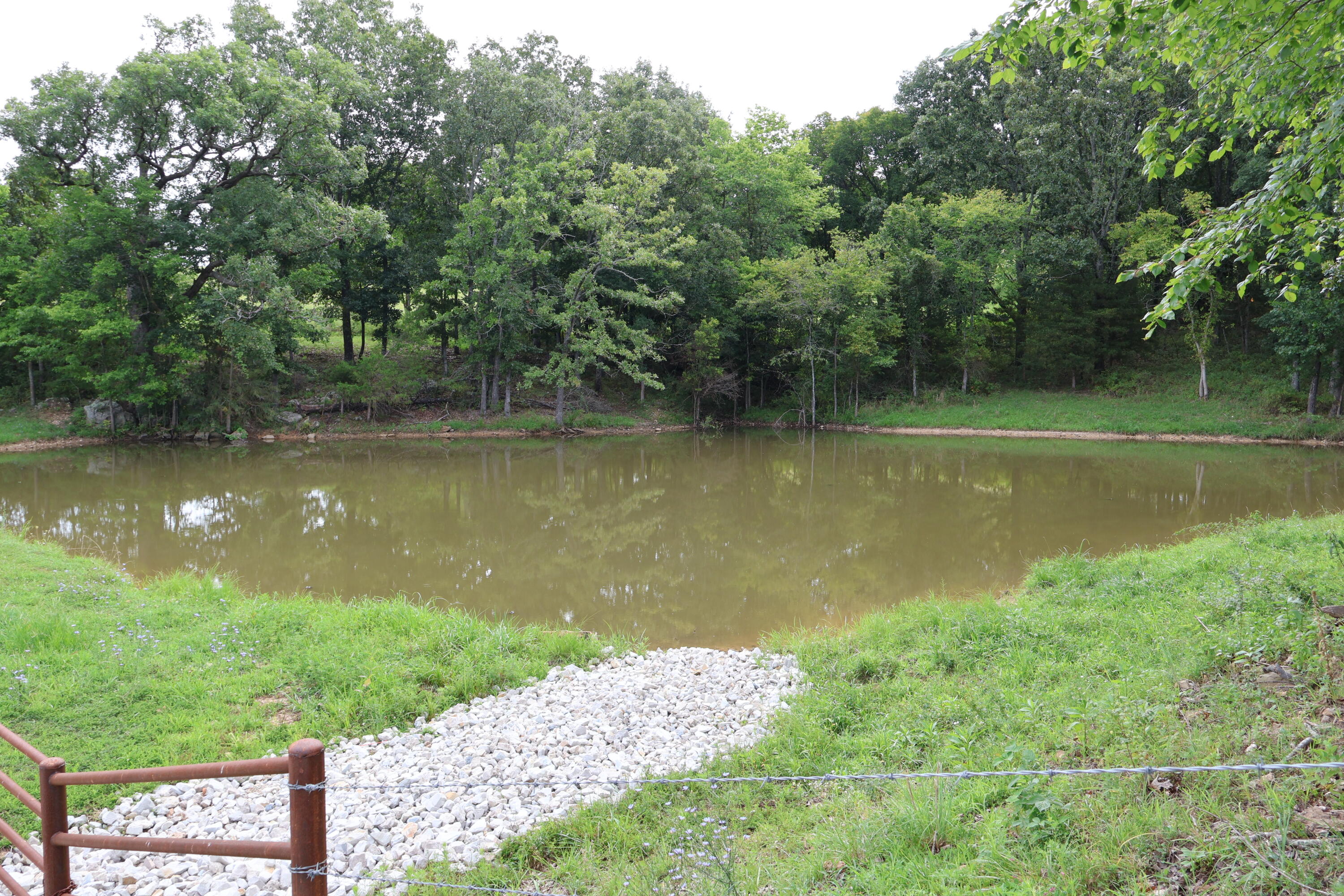 Photo 59 - Land for sale – 9551  State Highway Ff   Mountain Grove, MO