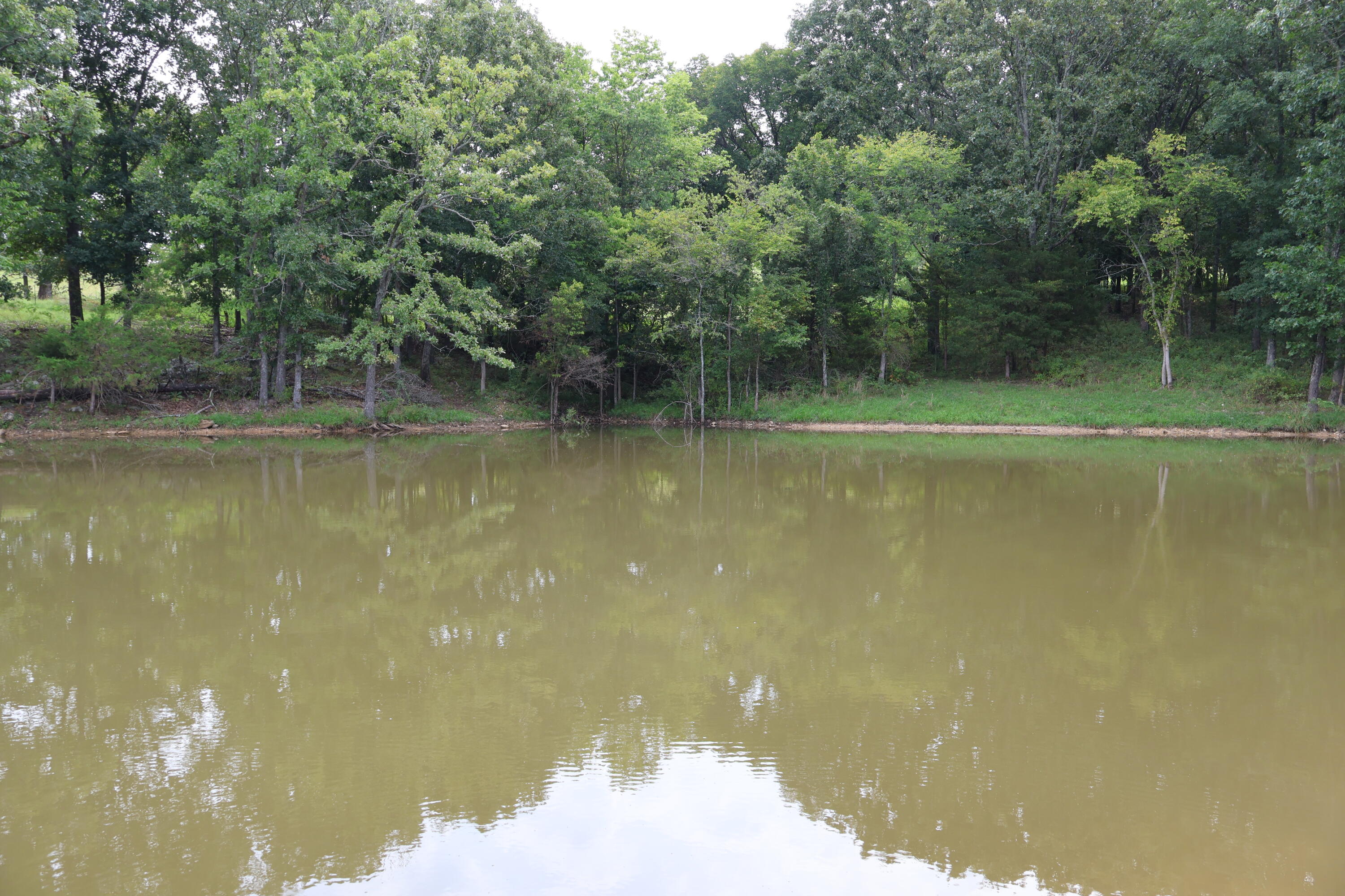 Photo 62 - Land for sale – 9551  State Highway Ff   Mountain Grove, MO