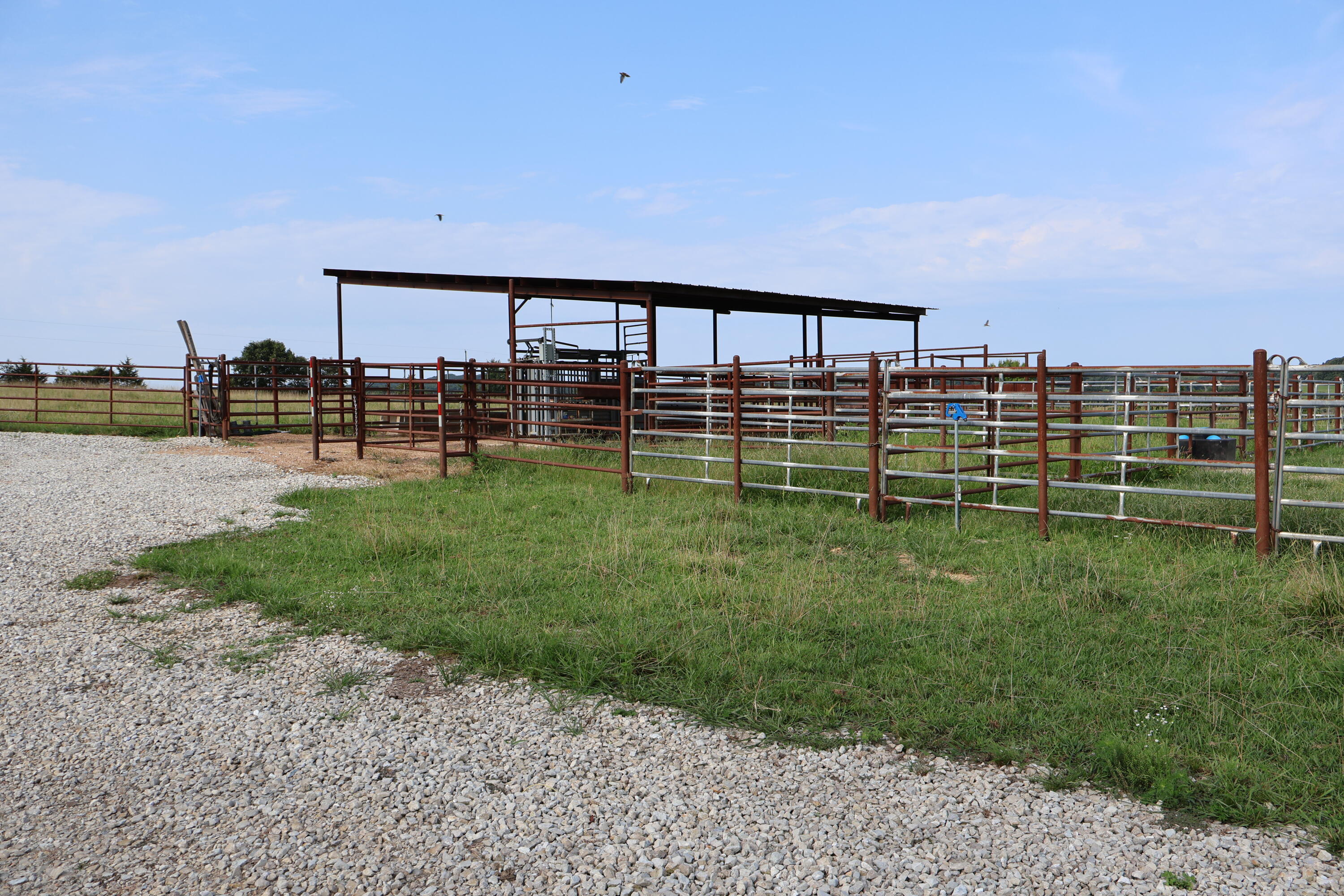 Photo 29 - Land for sale – 9551  State Highway Ff   Mountain Grove, MO