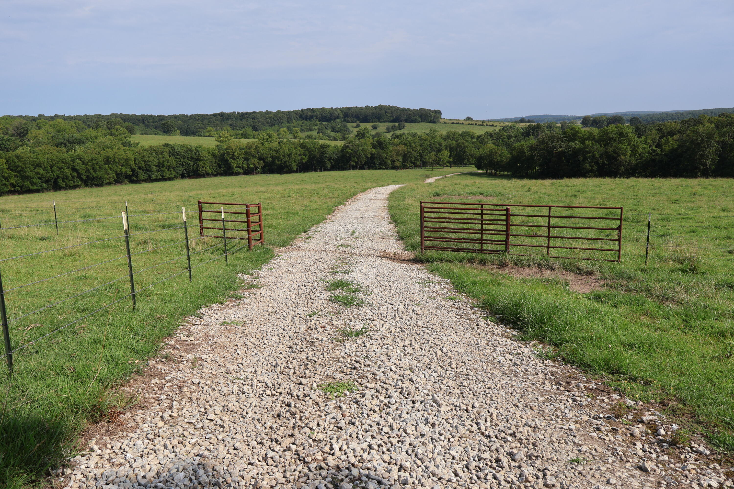 Photo 31 - Land for sale – 9551  State Highway Ff   Mountain Grove, MO