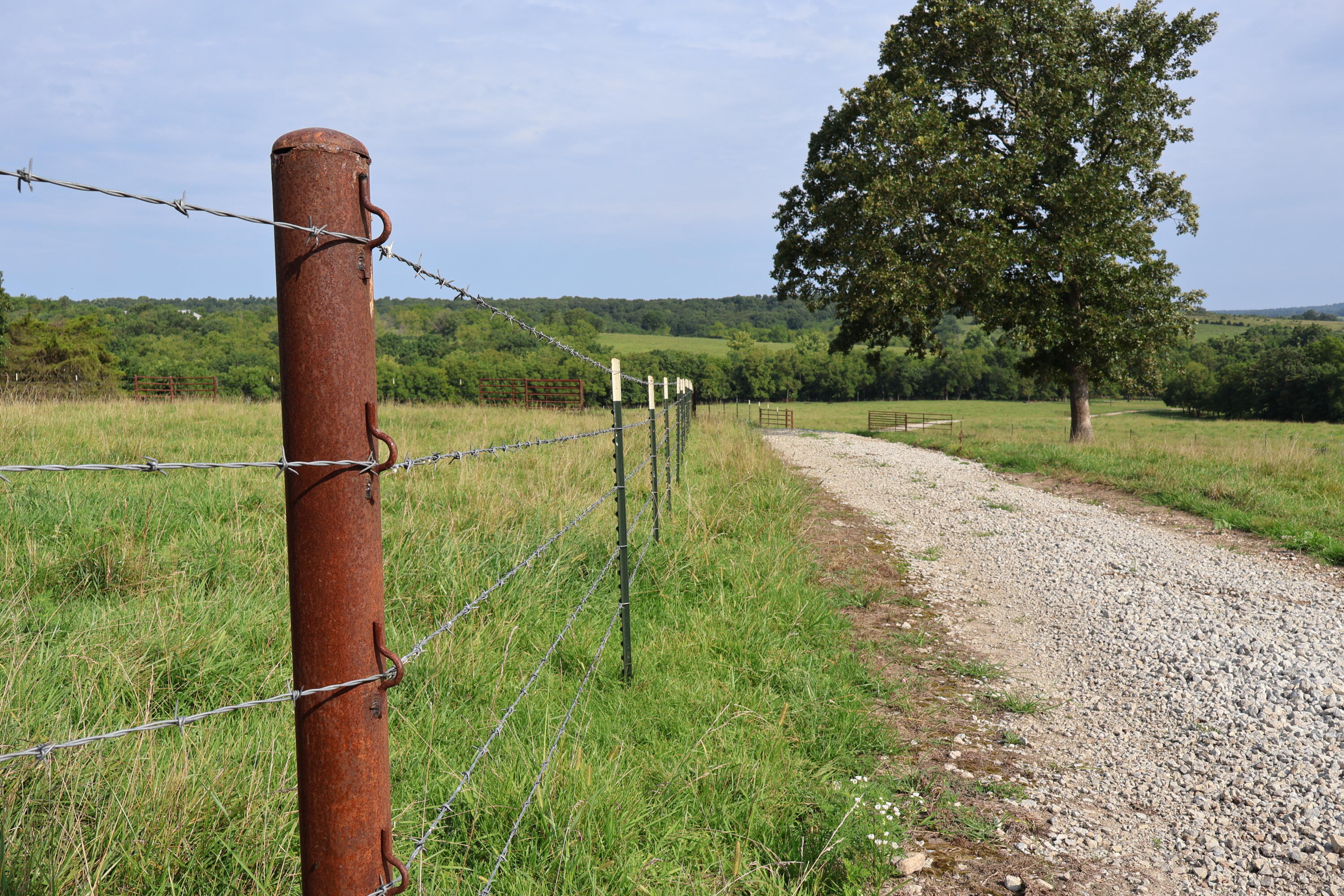 Photo 35 - Land for sale – 9551  State Highway Ff   Mountain Grove, MO