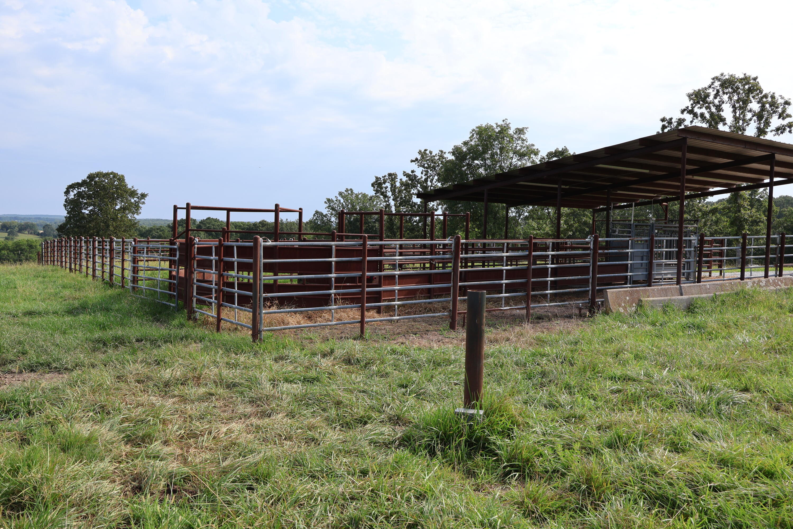 Photo 13 - Land for sale – 9551  State Highway Ff   Mountain Grove, MO