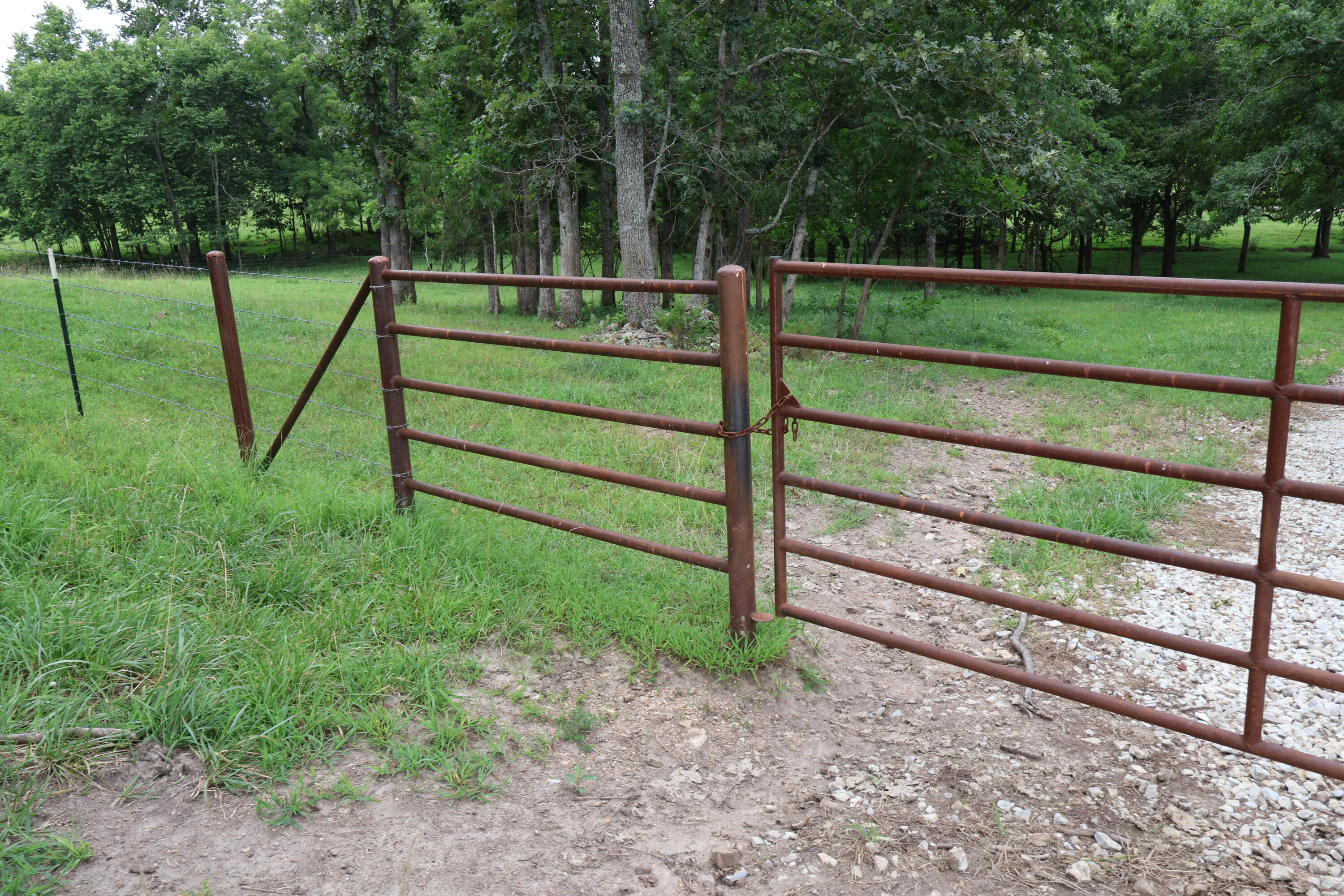 Photo 58 - Land for sale – 9551  State Highway Ff   Mountain Grove, MO