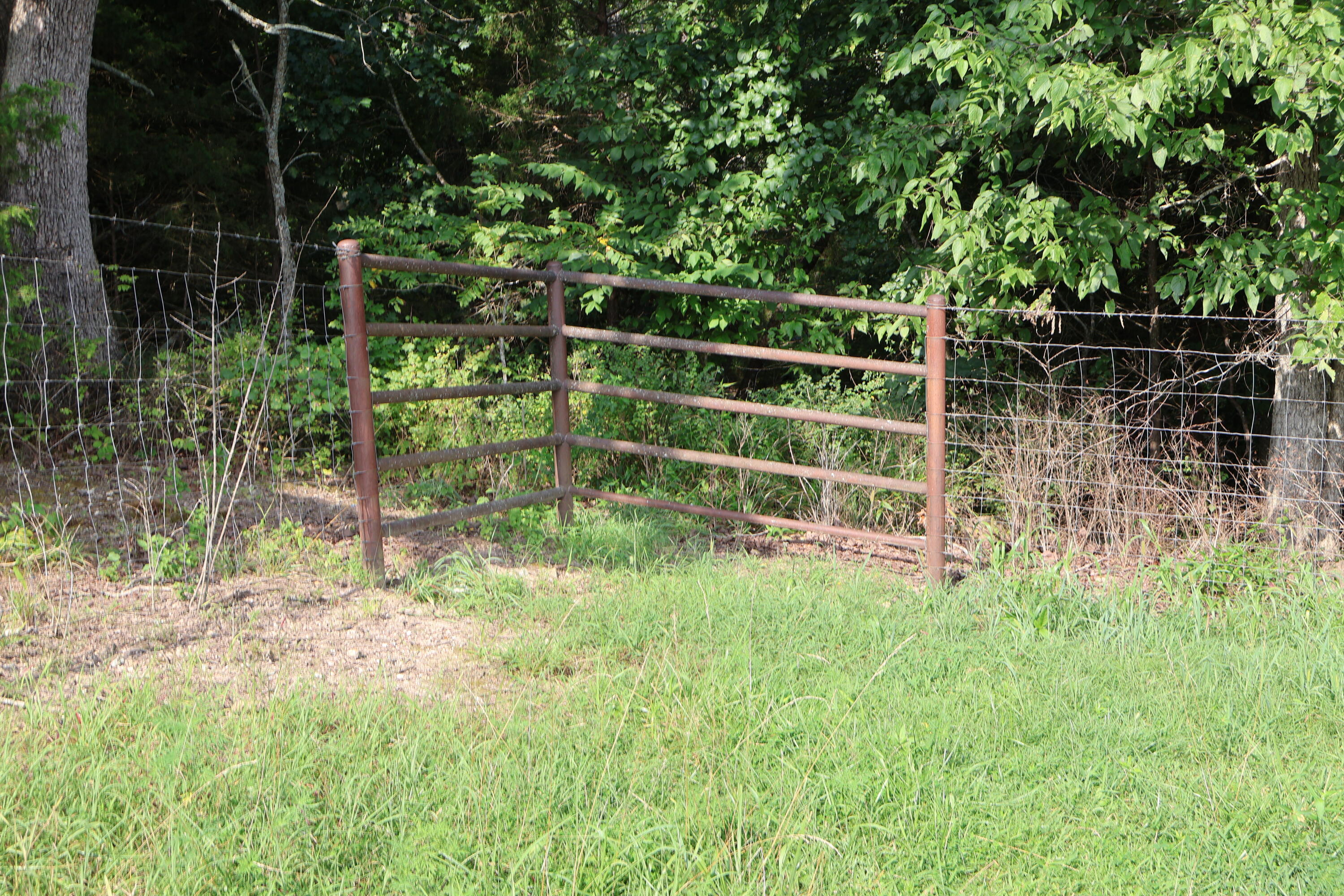 Photo 36 - Land for sale – 9551  State Highway Ff   Mountain Grove, MO