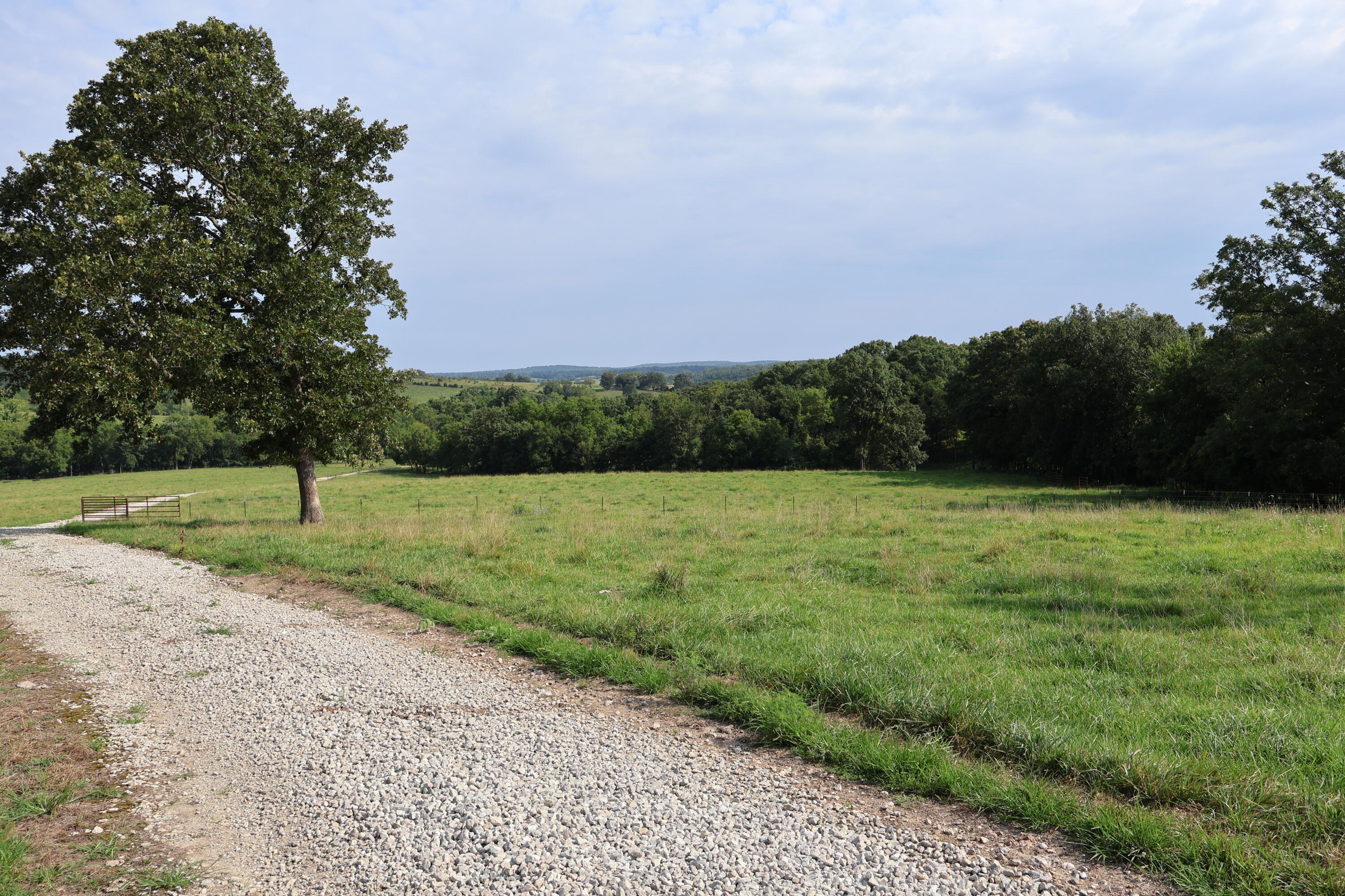 Photo 45 - Land for sale – 9551  State Highway Ff   Mountain Grove, MO