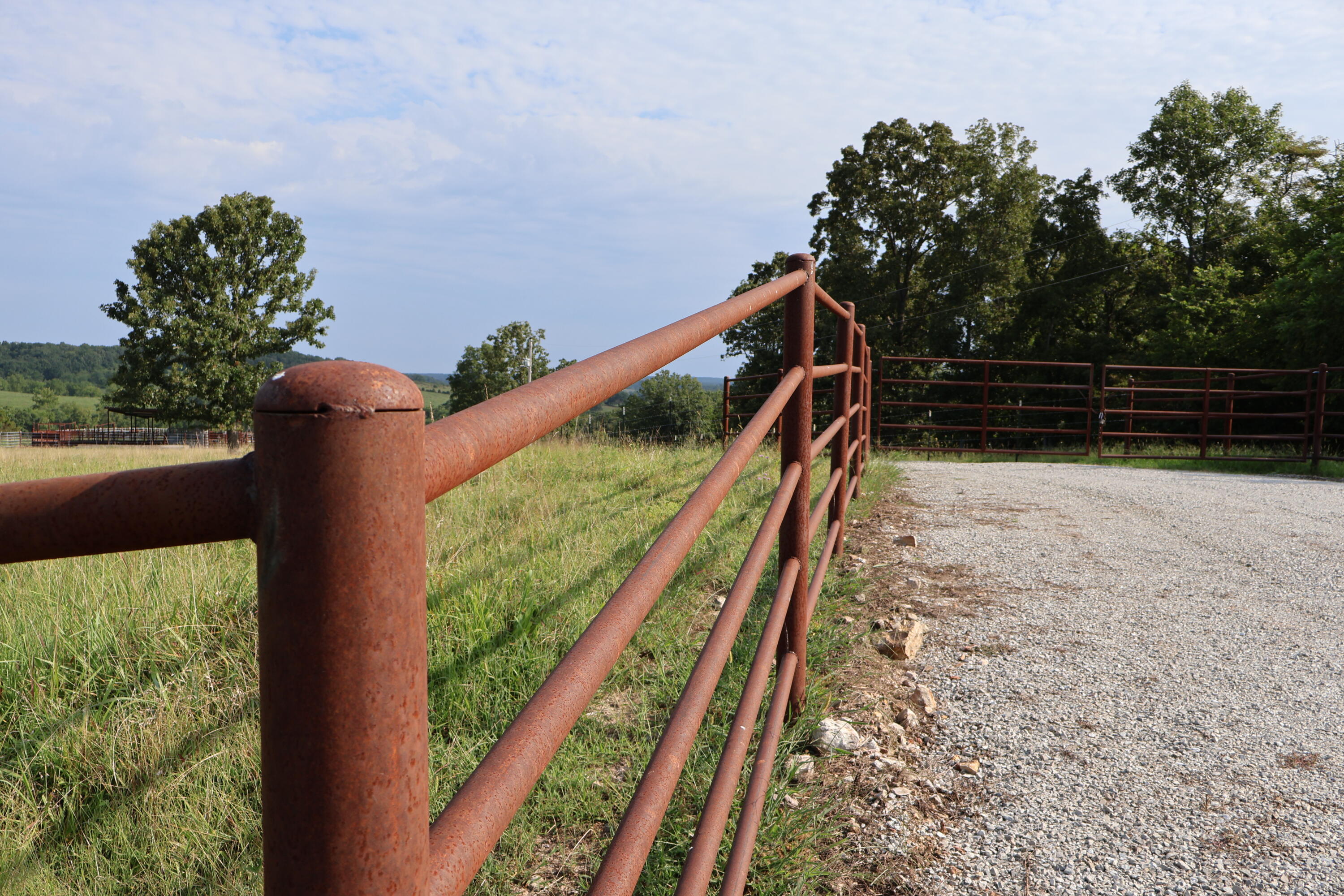 Photo 10 - Land for sale – 9551  State Highway Ff   Mountain Grove, MO