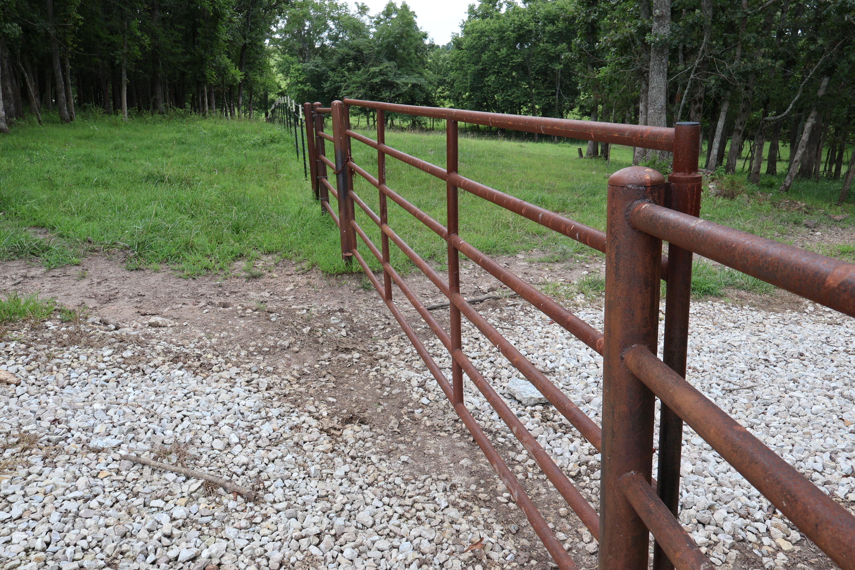 Photo 49 - Land for sale – 9551  State Highway Ff   Mountain Grove, MO