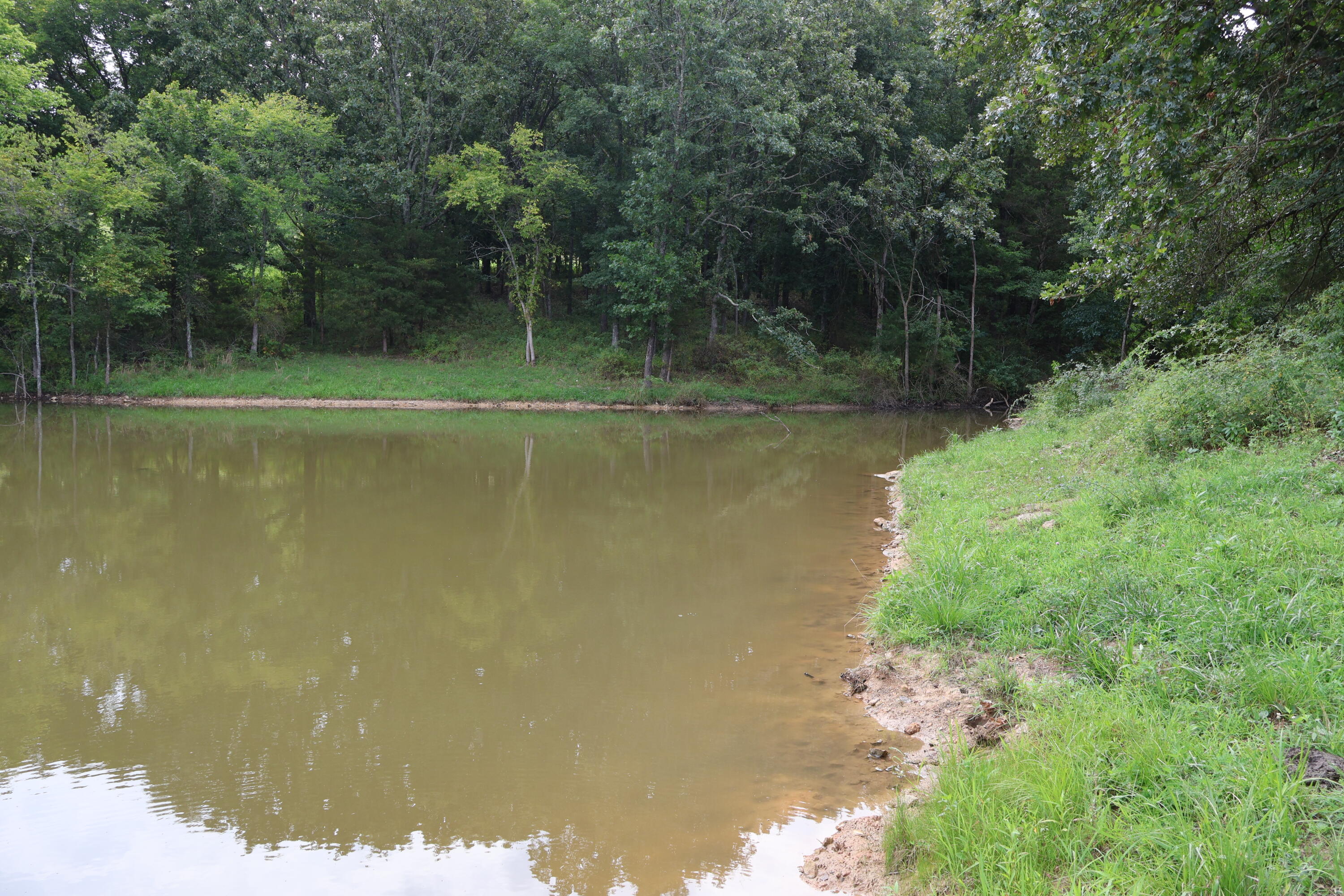 Photo 63 - Land for sale – 9551  State Highway Ff   Mountain Grove, MO