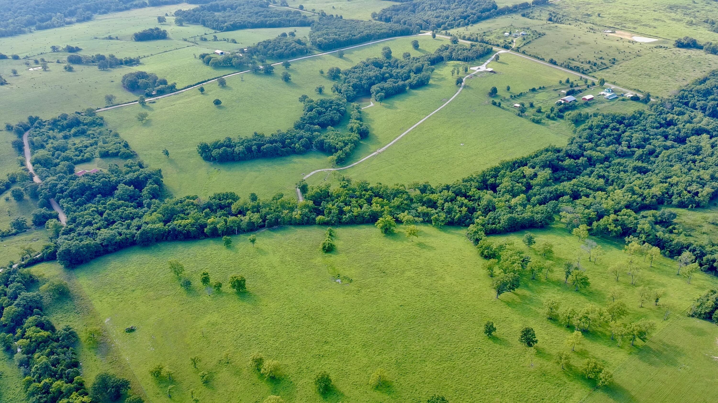 Photo 76 - Land for sale – 9551  State Highway Ff   Mountain Grove, MO