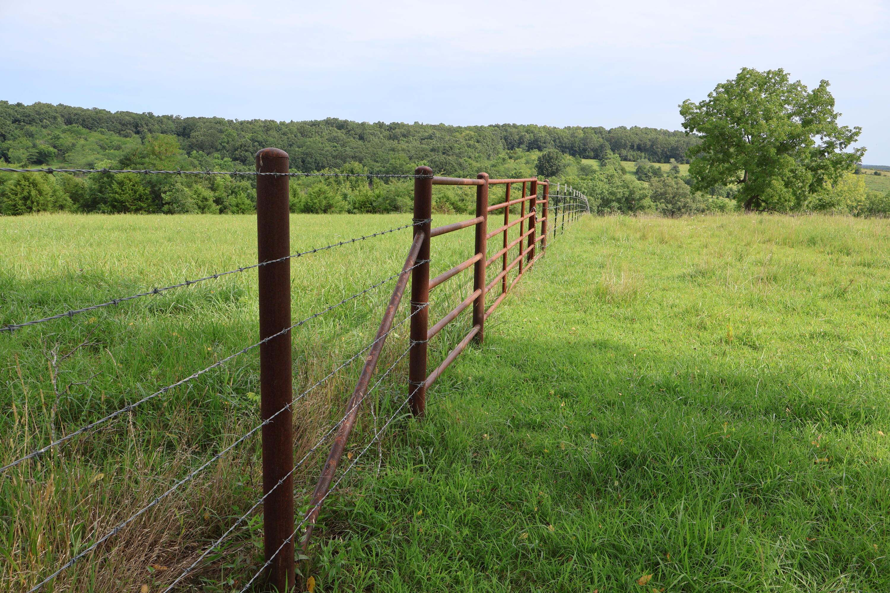 Photo 47 - Land for sale – 9551  State Highway Ff   Mountain Grove, MO