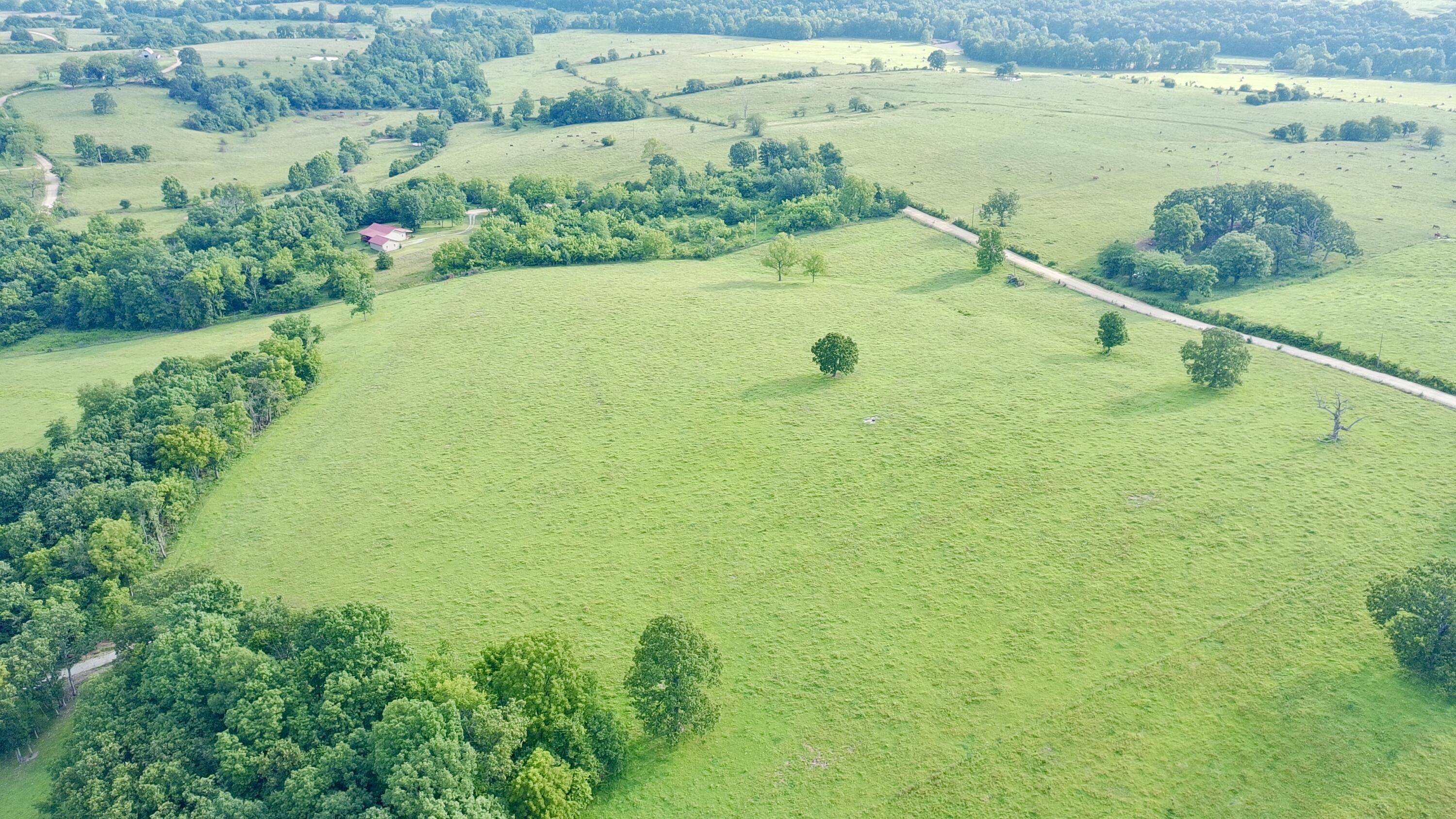 Photo 78 - Land for sale – 9551  State Highway Ff   Mountain Grove, MO