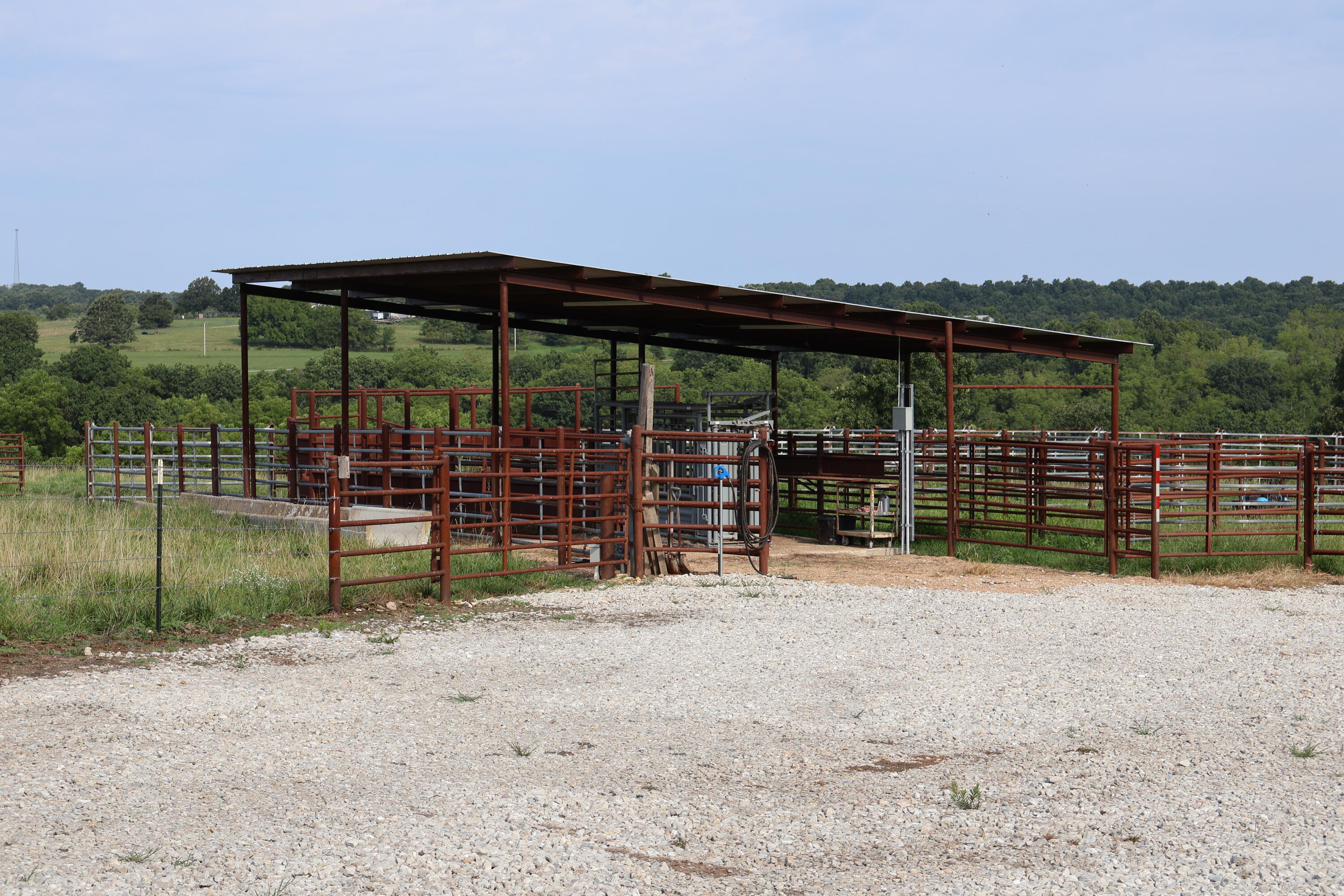 Photo 4 - Land for sale – 9551  State Highway Ff   Mountain Grove, MO