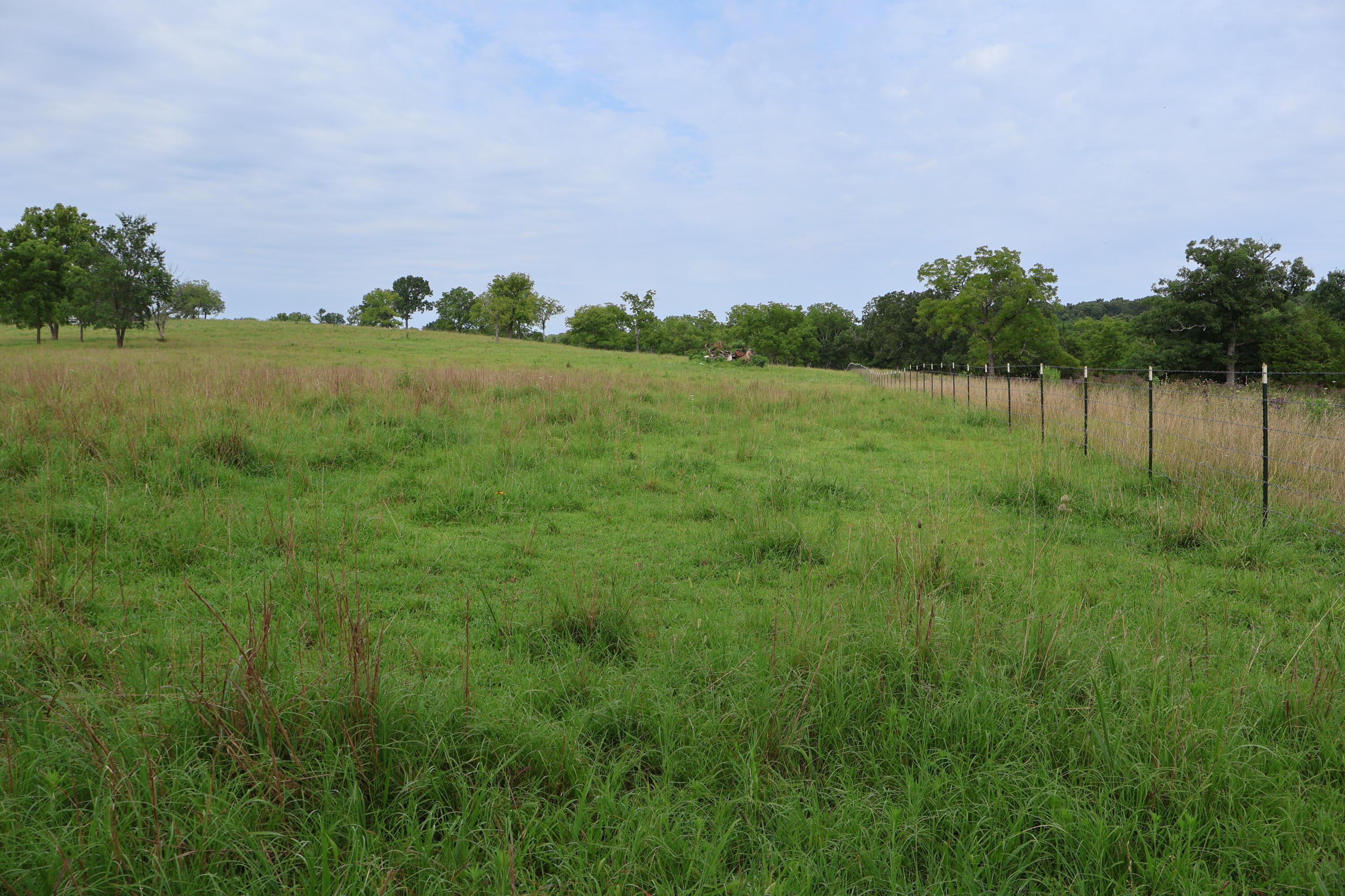 Photo 54 - Land for sale – 9551  State Highway Ff   Mountain Grove, MO
