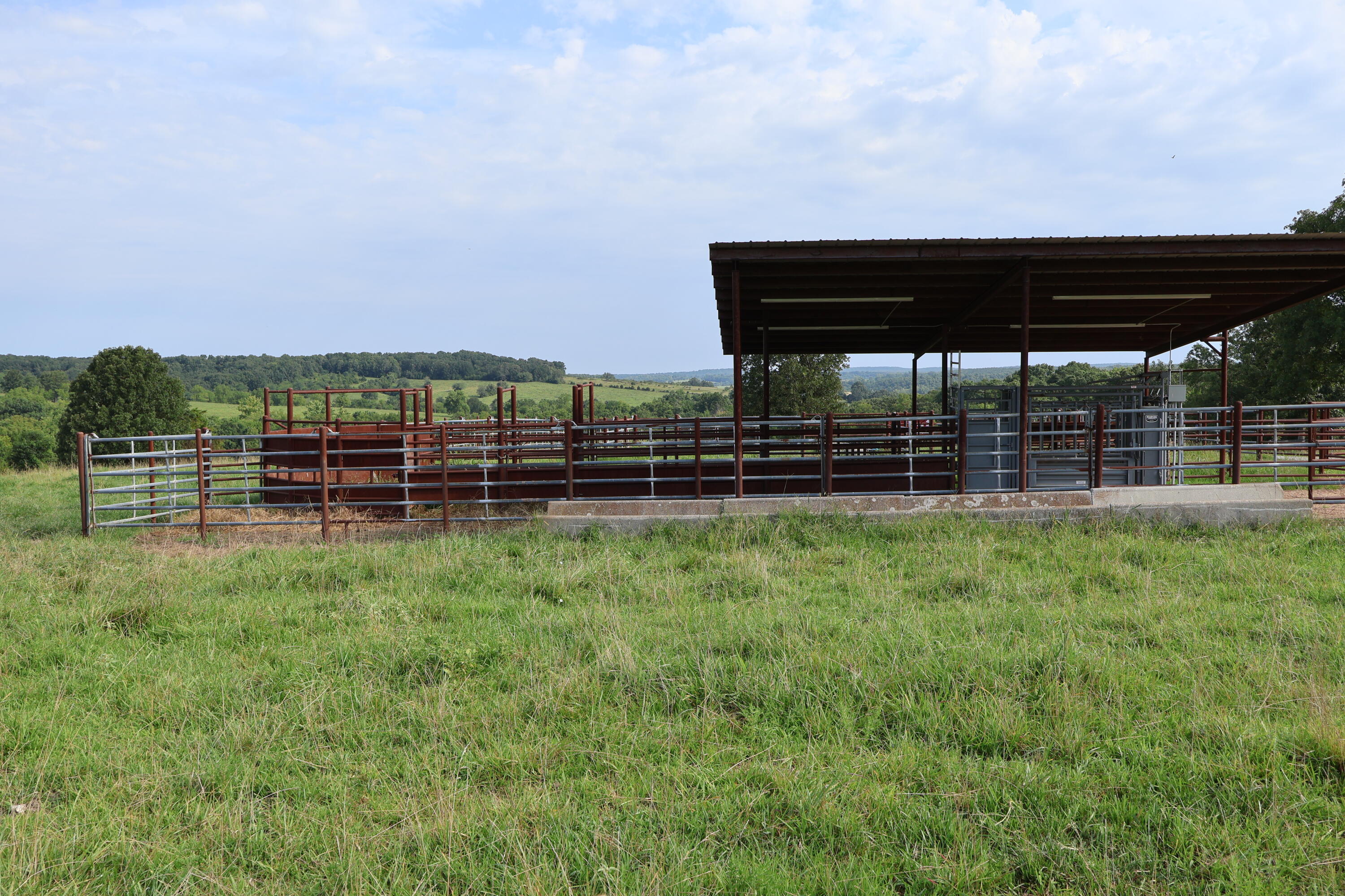 Photo 5 - Land for sale – 9551  State Highway Ff   Mountain Grove, MO