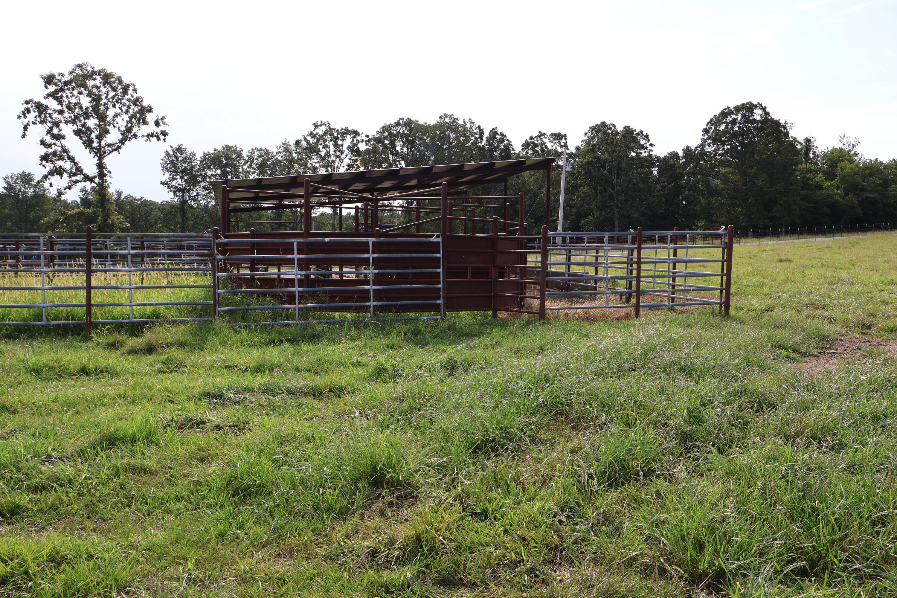 Photo 19 - Land for sale – 9551  State Highway Ff   Mountain Grove, MO