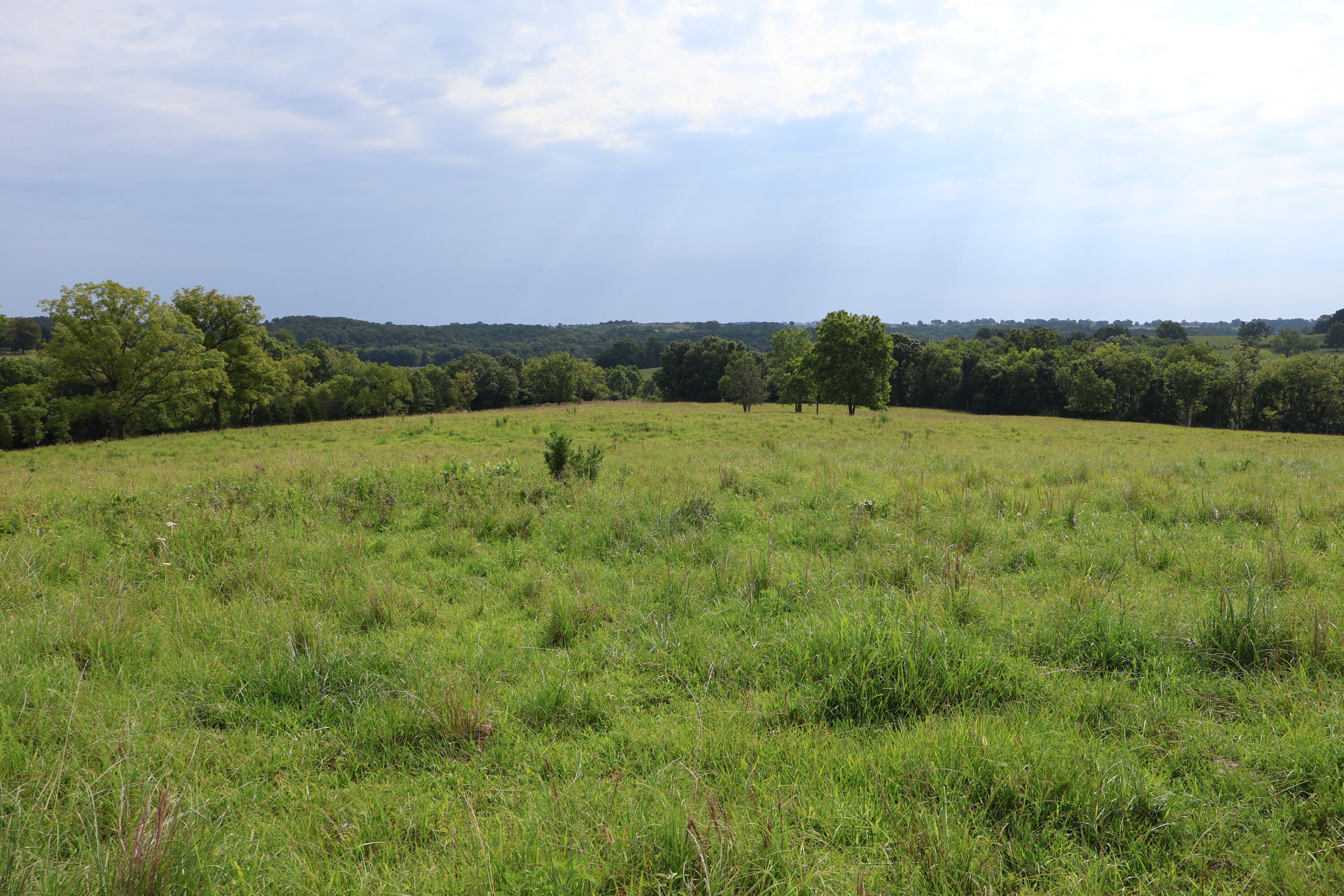 Photo 67 - Land for sale – 9551  State Highway Ff   Mountain Grove, MO