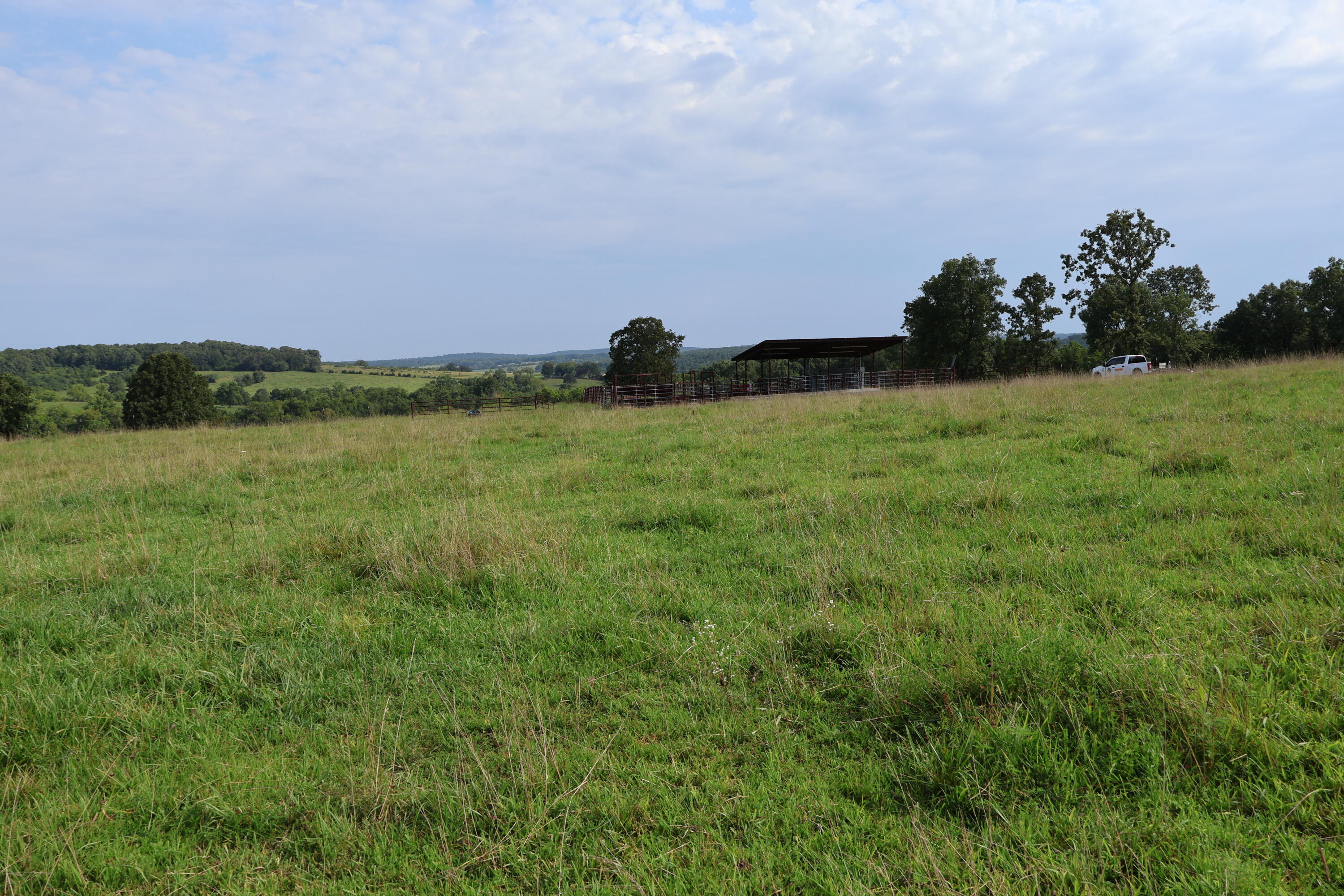 Photo 57 - Land for sale – 9551  State Highway Ff   Mountain Grove, MO