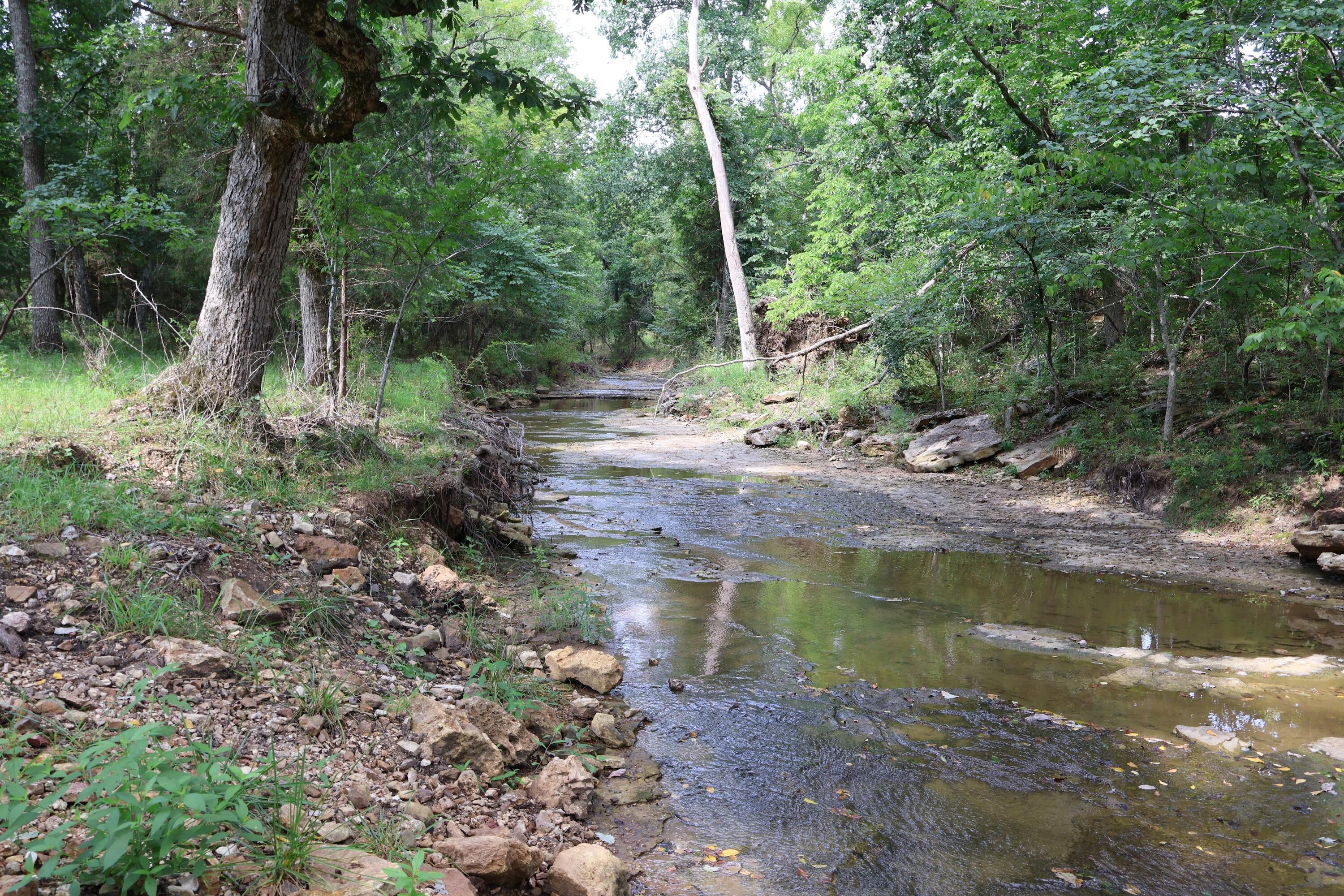 Photo 38 - Land for sale – 9551  State Highway Ff   Mountain Grove, MO