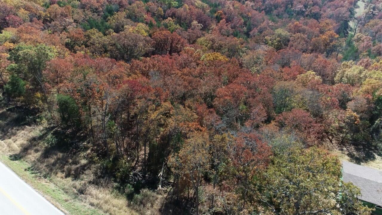 Photo 9 - Land for sale – 000  Highway 76   Kirbyville, MO