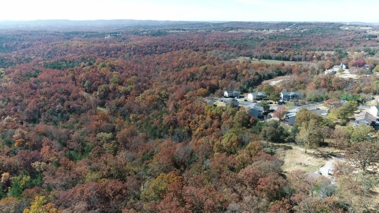 Photo 16 - Land for sale – 000  Highway 76   Kirbyville, MO