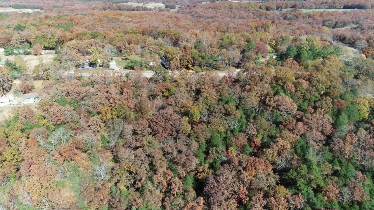 Photo 12 - Land for sale – 000  Highway 76   Kirbyville, MO
