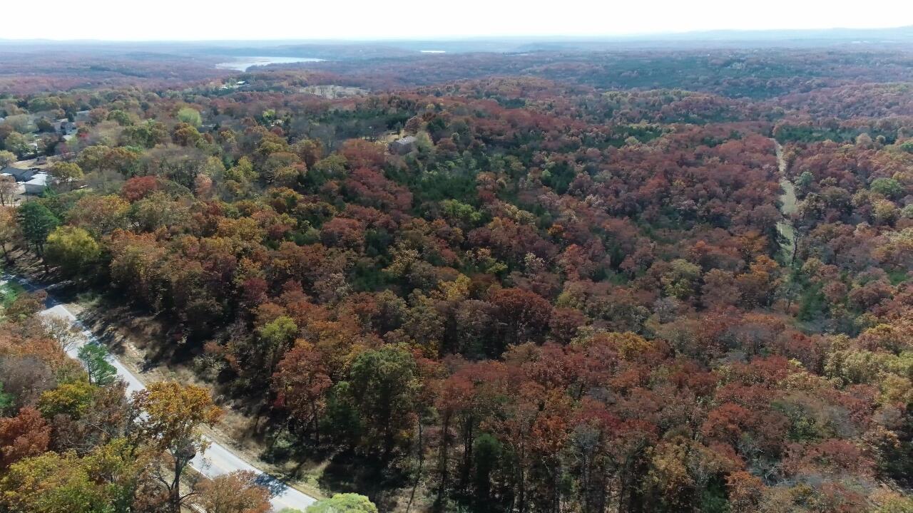 Photo 20 - Land for sale – 000  Highway 76   Kirbyville, MO