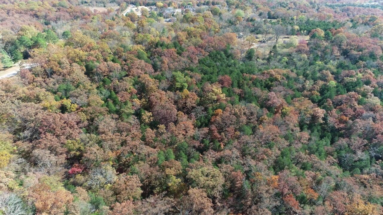 Photo 11 - Land for sale – 000  Highway 76   Kirbyville, MO