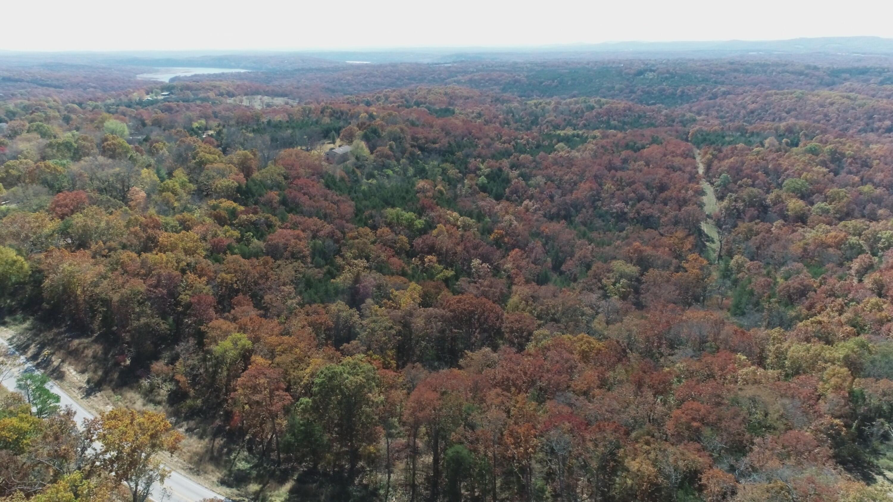 Photo 7 - Land for sale – 000  Highway 76   Kirbyville, MO