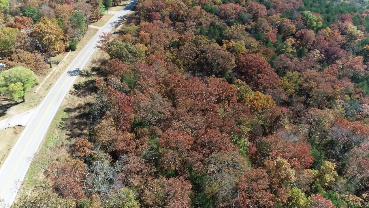 Photo 10 - Land for sale – 000  Highway 76   Kirbyville, MO