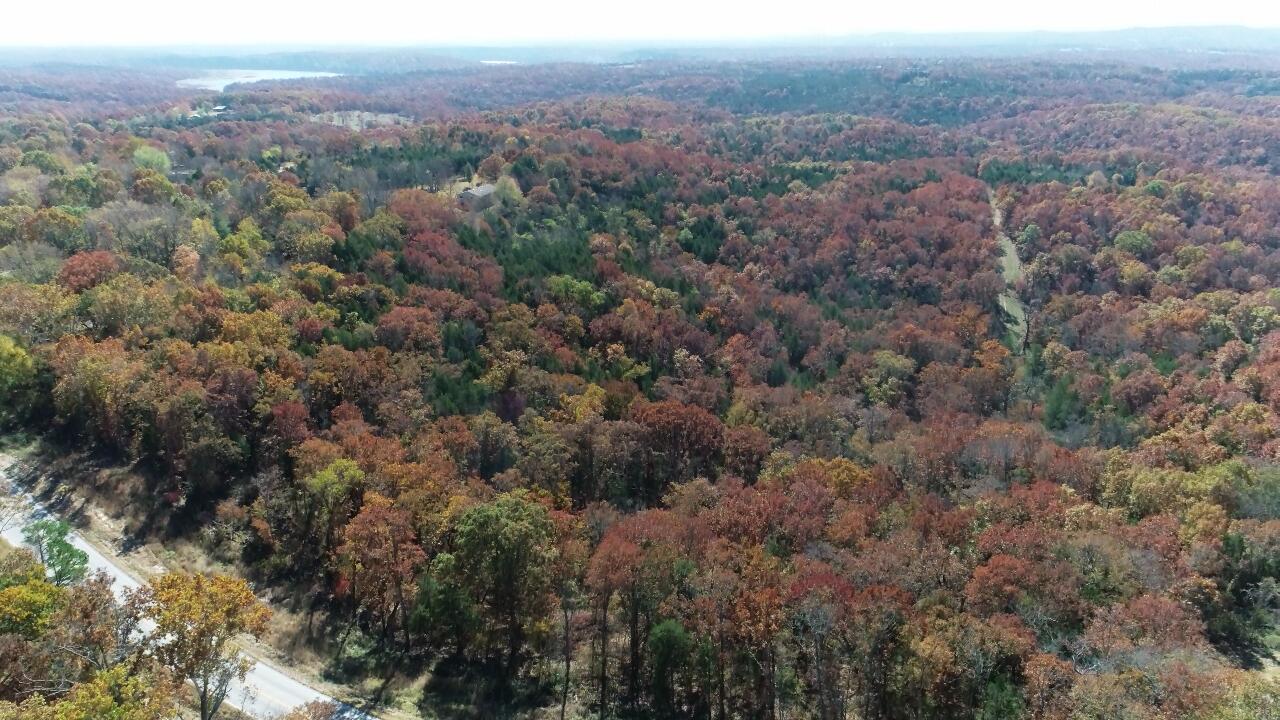 Photo 18 - Land for sale – 000  Highway 76   Kirbyville, MO