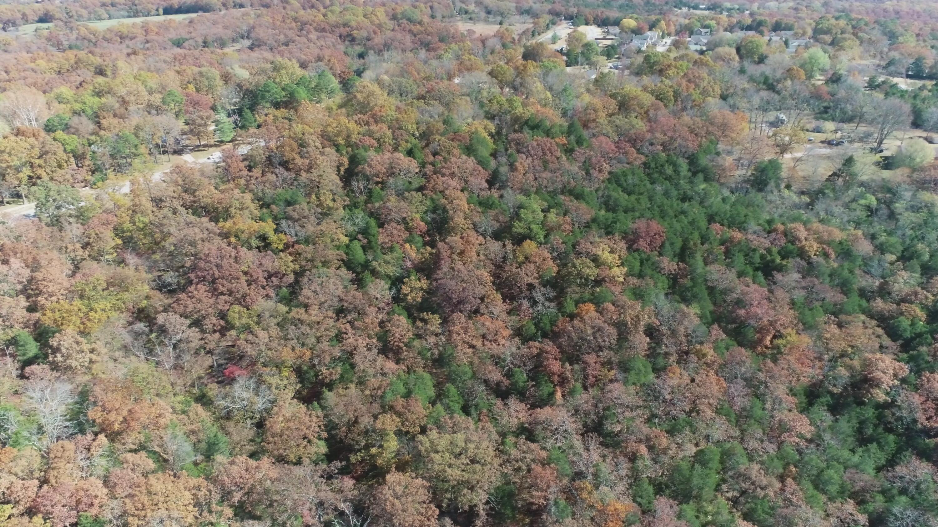 Photo 2 - Land for sale – 000  Highway 76   Kirbyville, MO