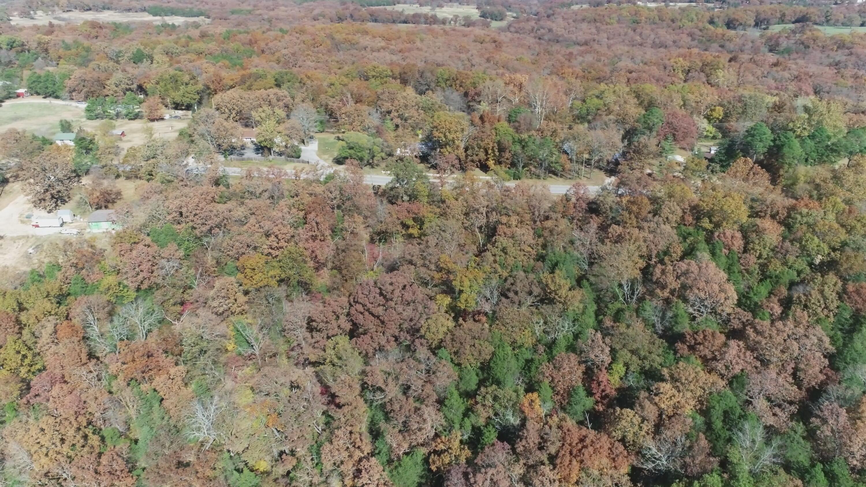 Photo 4 - Land for sale – 000  Highway 76   Kirbyville, MO