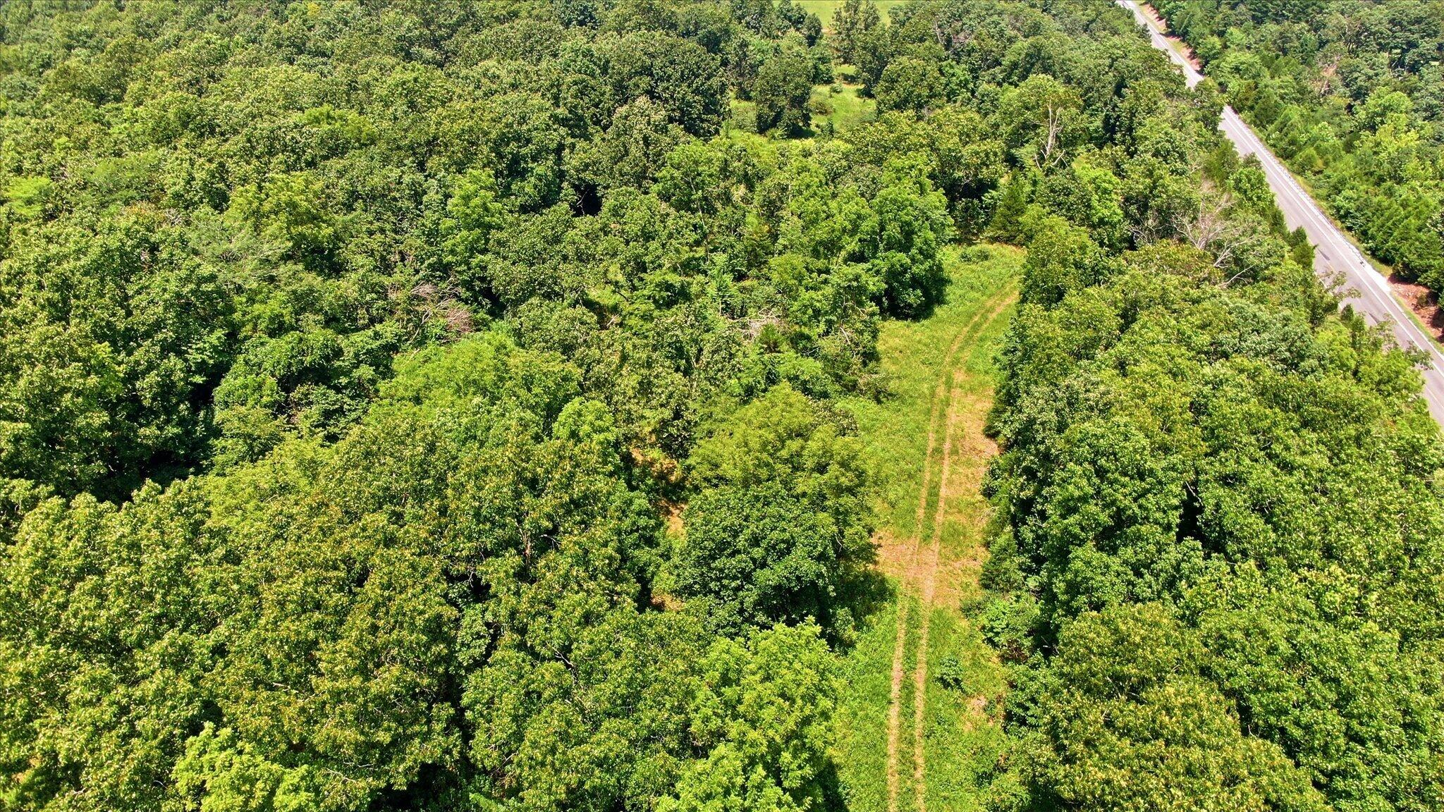 Photo 2 - Land for sale – 0 N Highway 5   Ava, MO