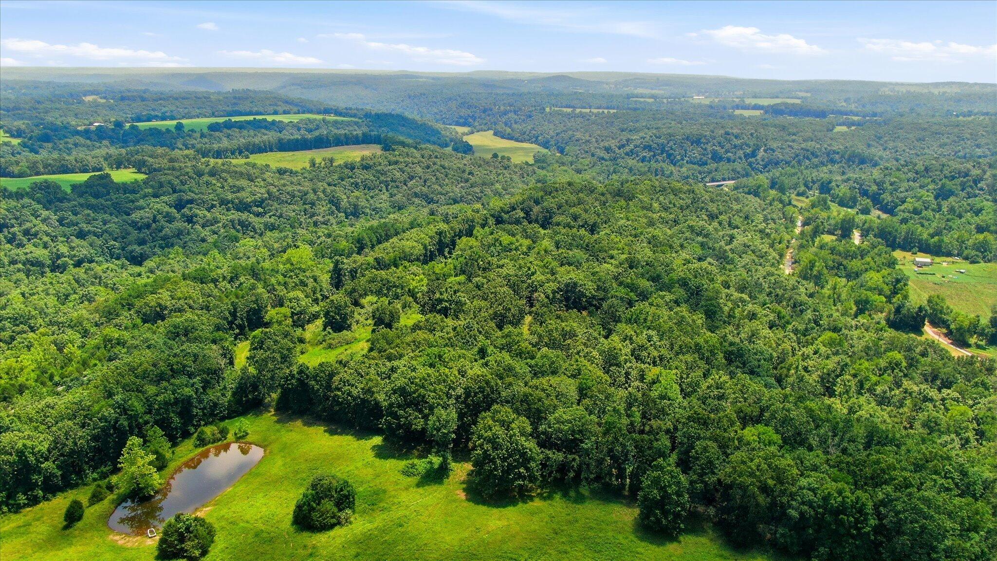 Photo 10 - Land for sale – 0 N Highway 5   Ava, MO