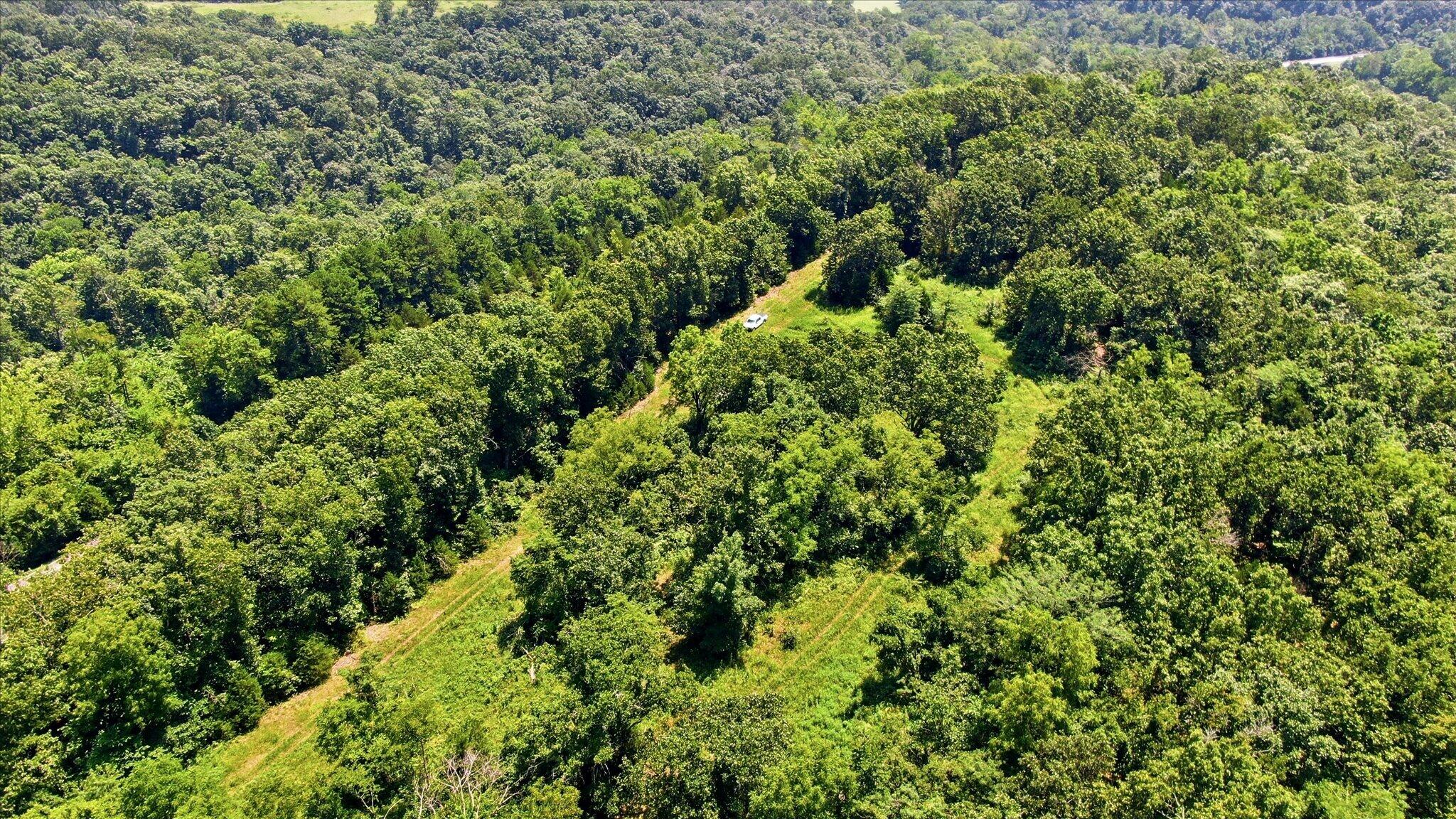 Photo 15 - Land for sale – 0 N Highway 5   Ava, MO