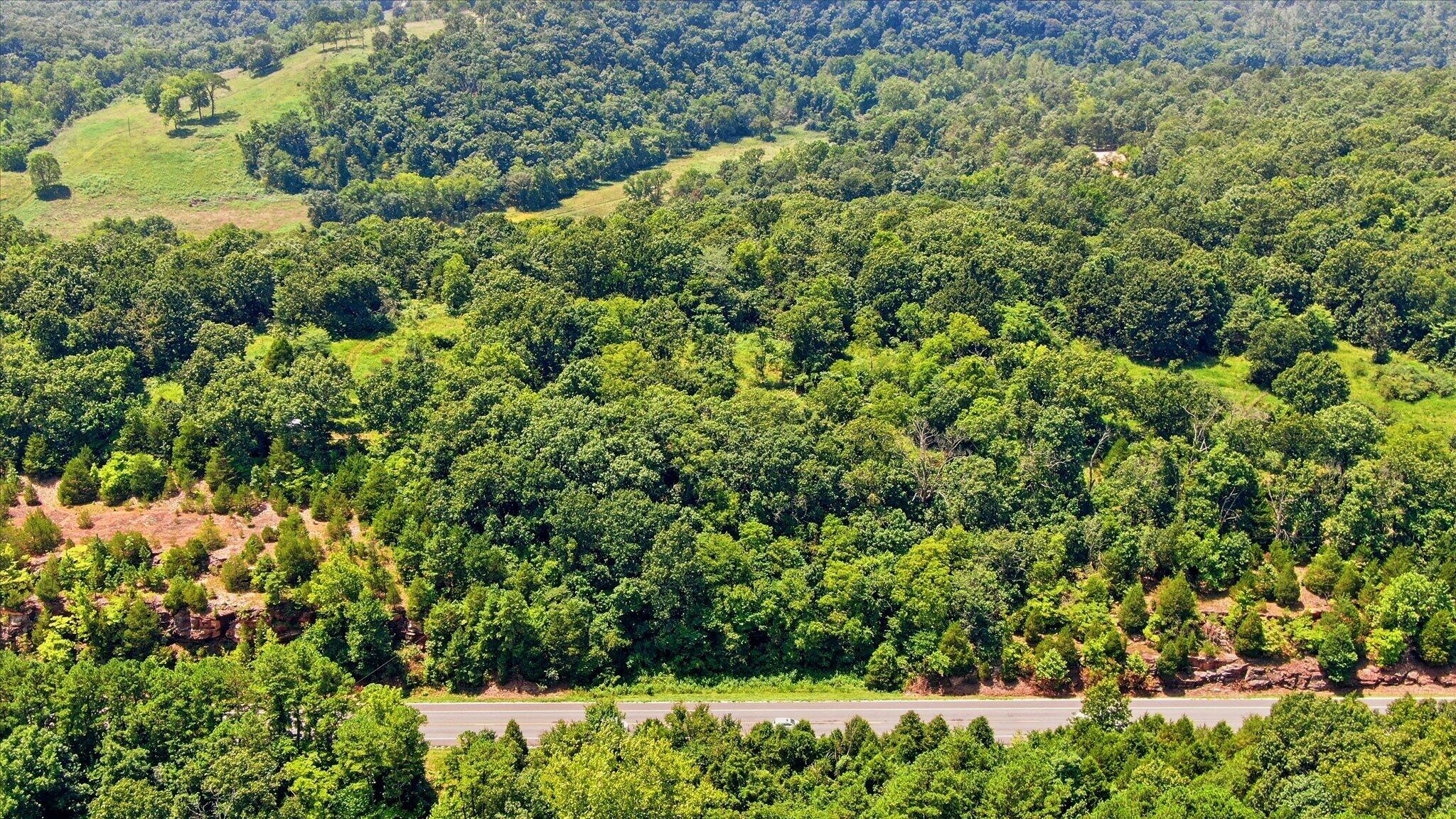 Photo 18 - Land for sale – 0 N Highway 5   Ava, MO