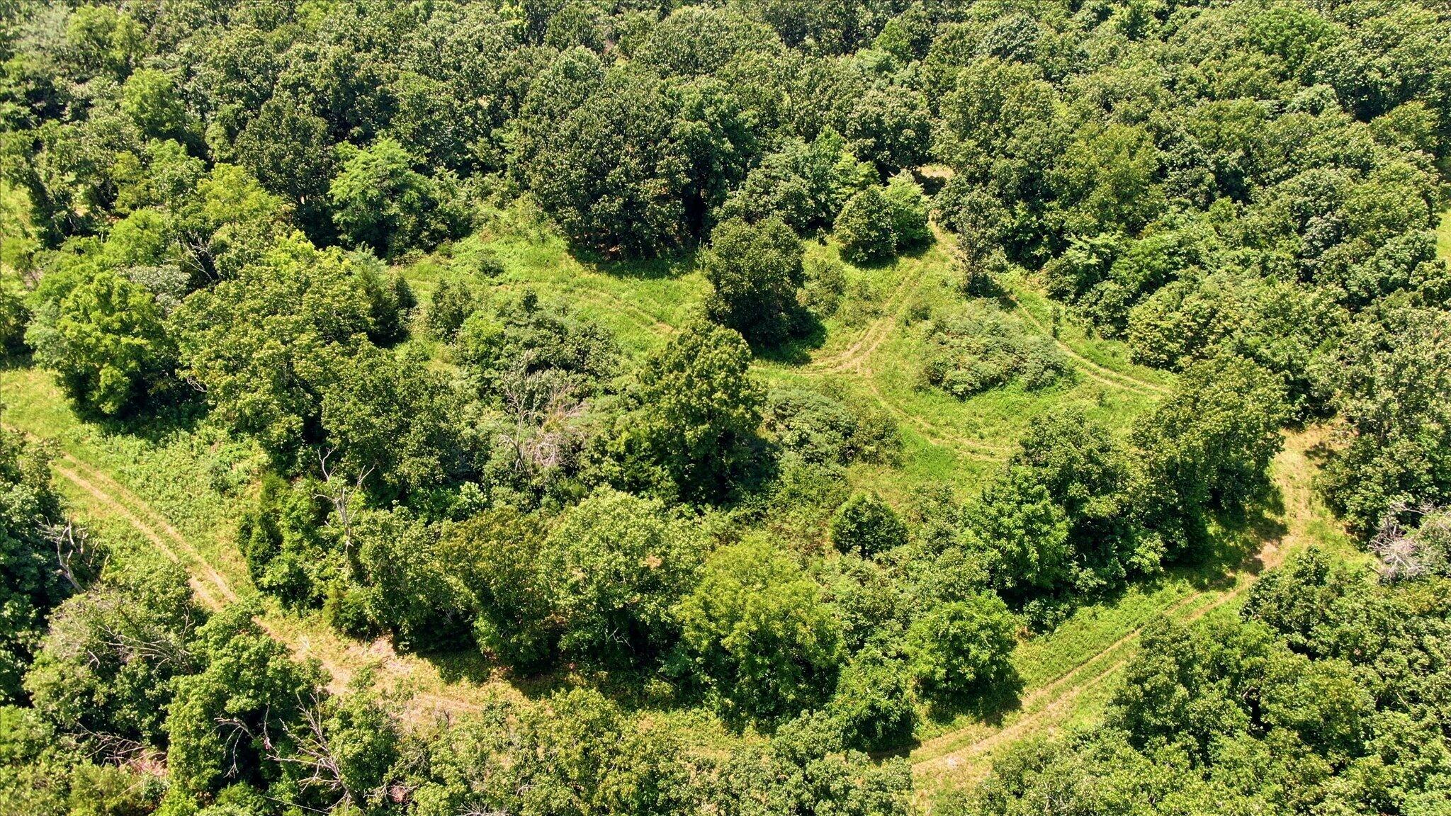 Photo 14 - Land for sale – 0 N Highway 5   Ava, MO