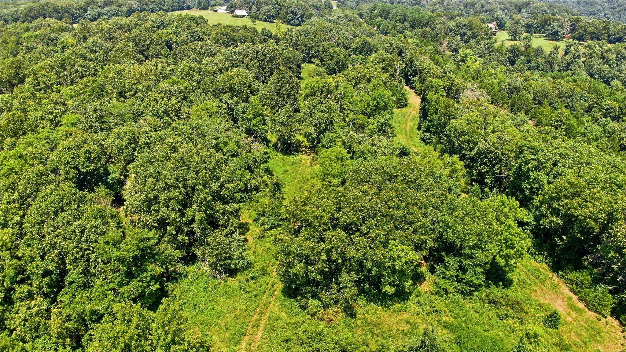 Photo 9 - Land for sale – 0 N Highway 5   Ava, MO