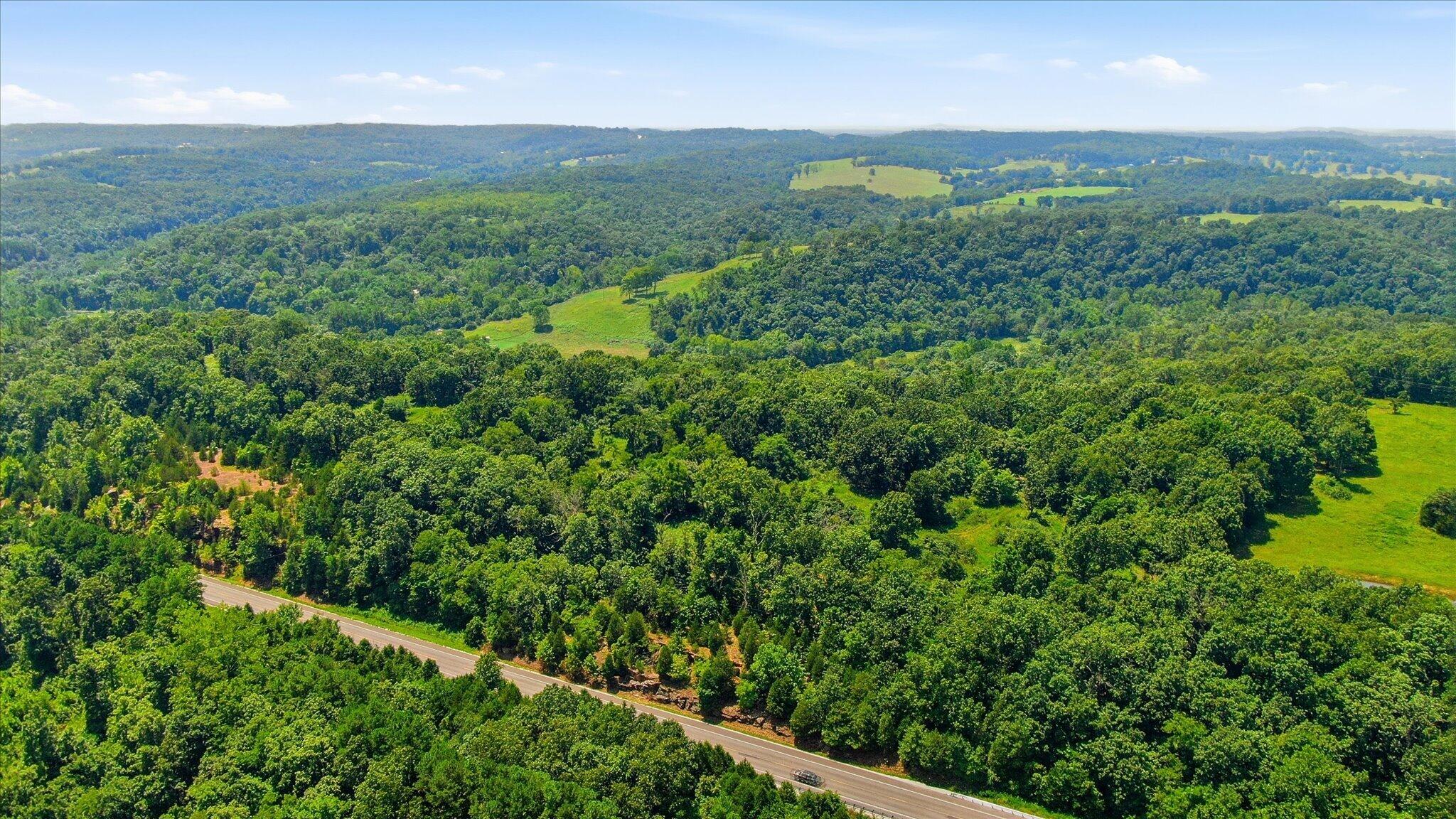 Photo 4 - Land for sale – 0 N Highway 5   Ava, MO