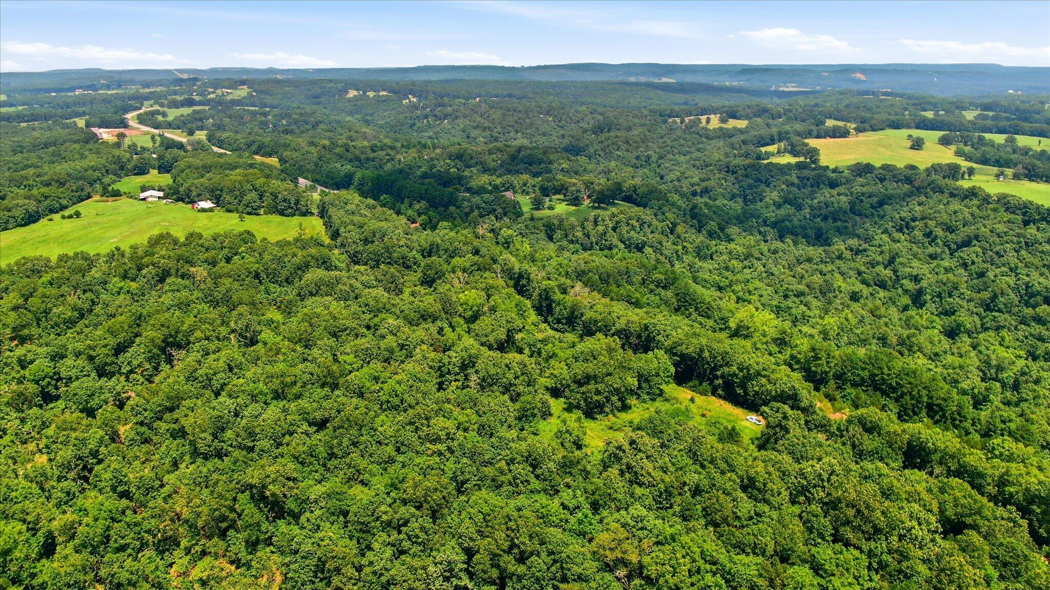 Photo 3 - Land for sale – 0 N Highway 5   Ava, MO