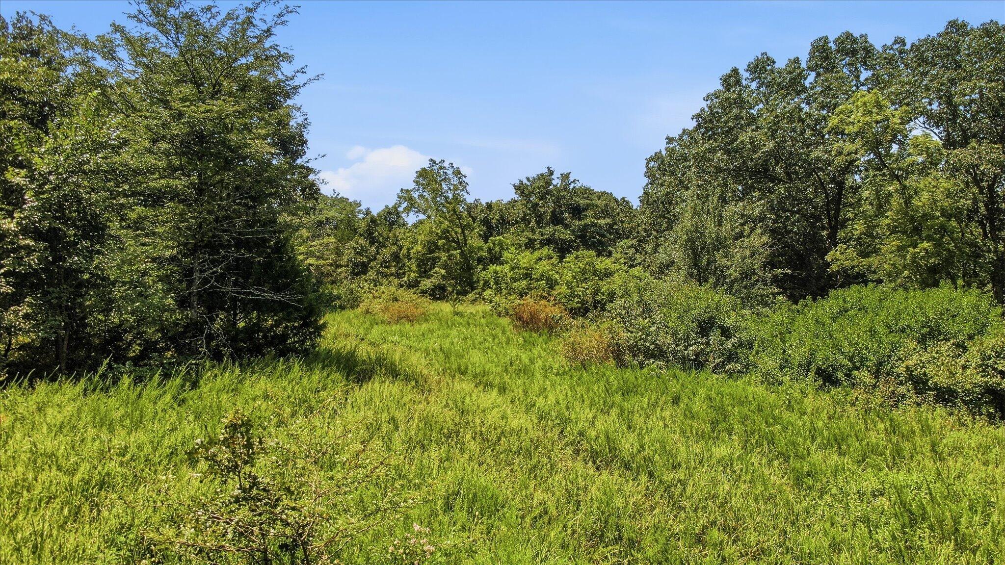 Photo 12 - Land for sale – 0 N Highway 5   Ava, MO