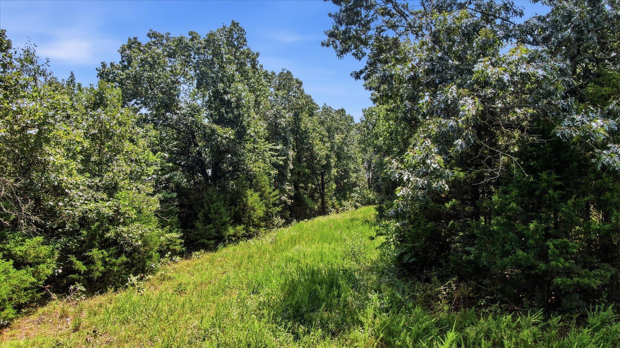 Photo 13 - Land for sale – 0 N Highway 5   Ava, MO