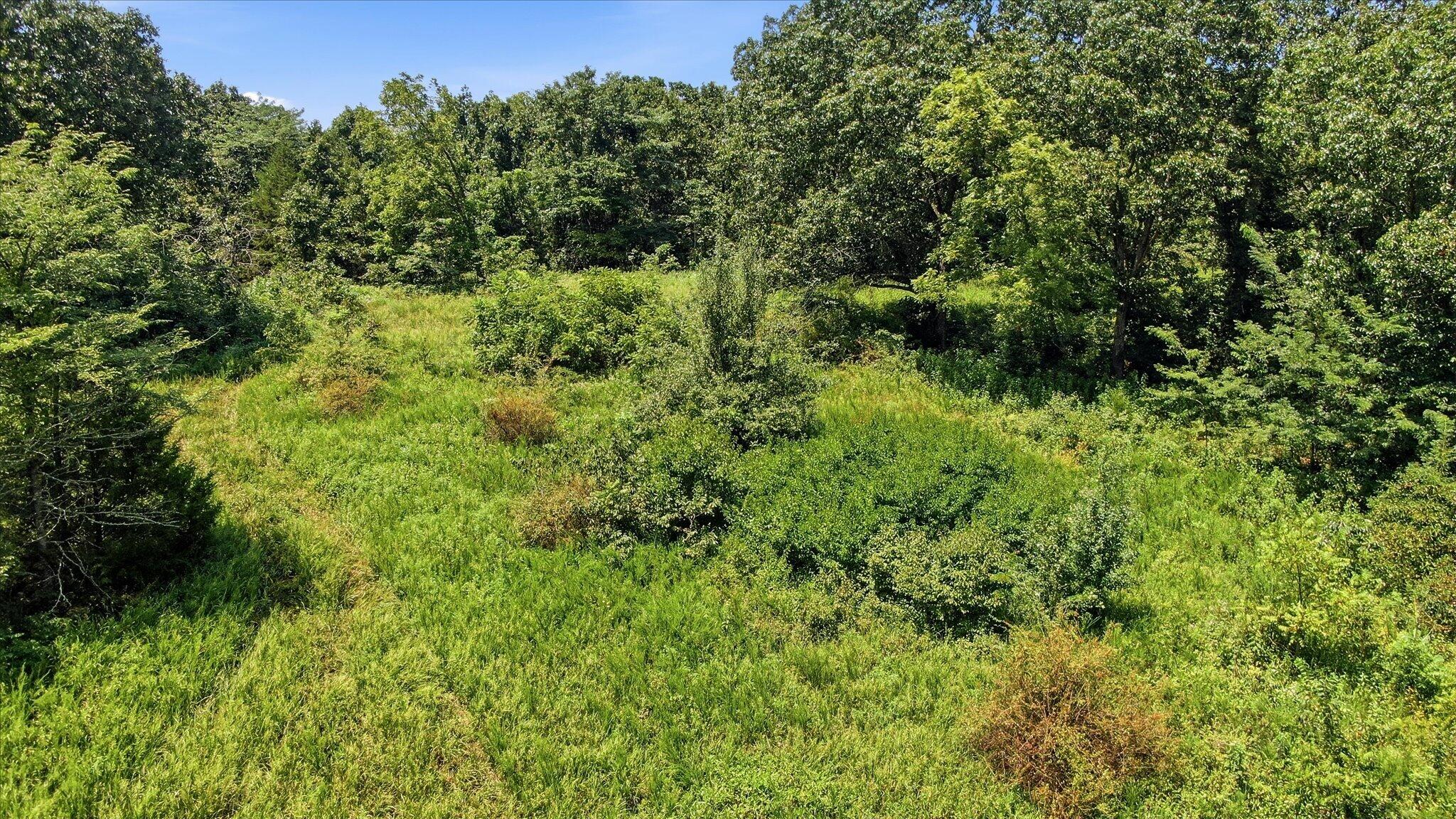 Photo 6 - Land for sale – 0 N Highway 5   Ava, MO