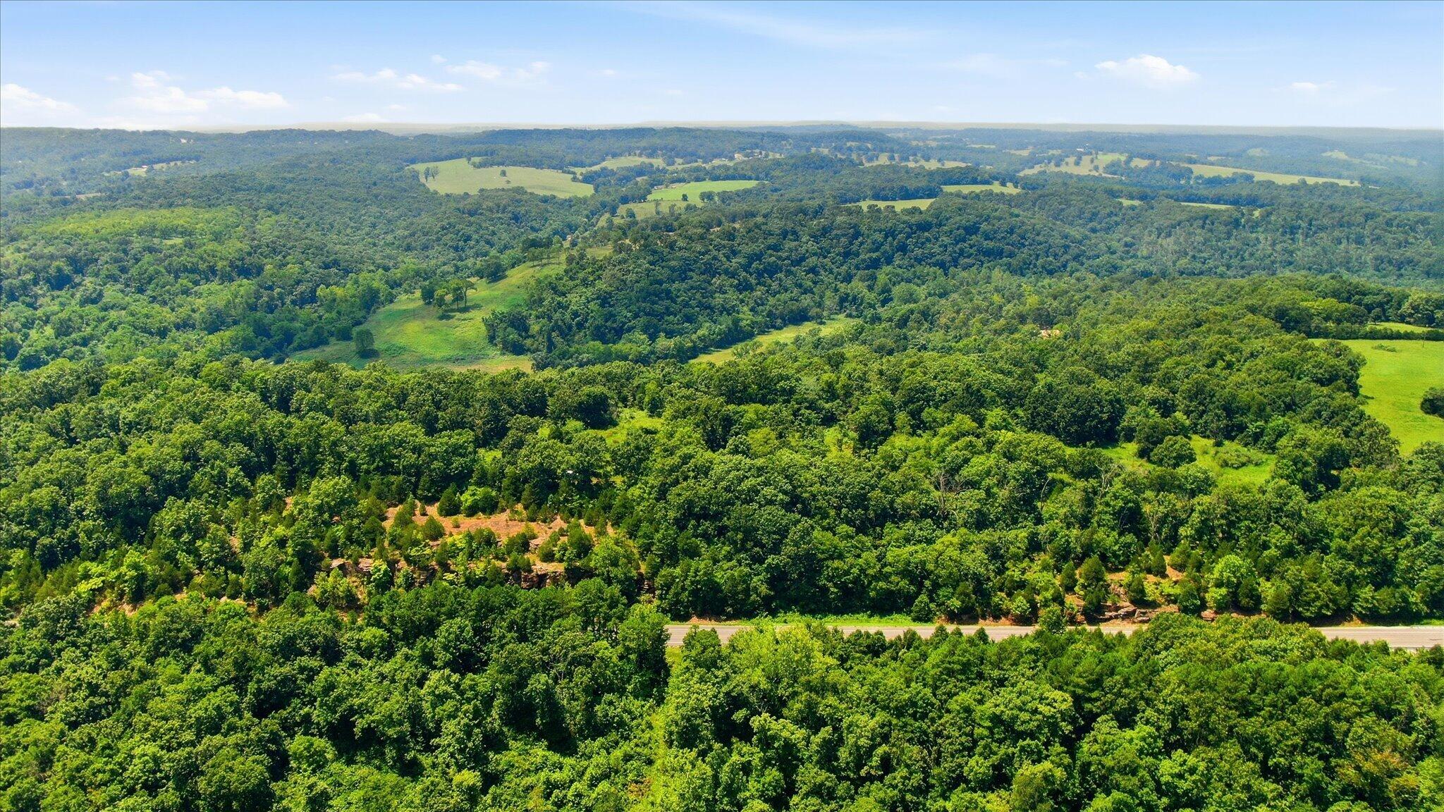 Photo 5 - Land for sale – 0 N Highway 5   Ava, MO