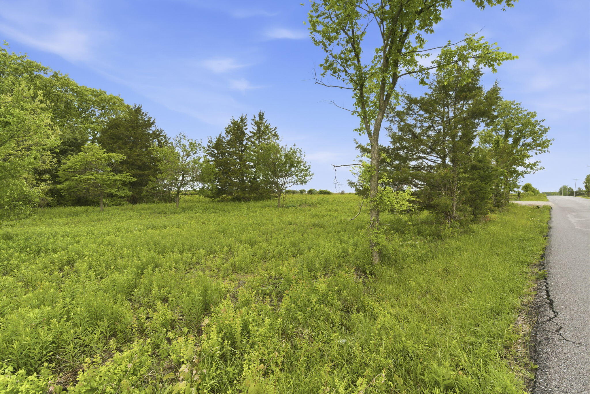 Photo 2 - Land for sale – 000  Chicory Road  Rogersville, MO