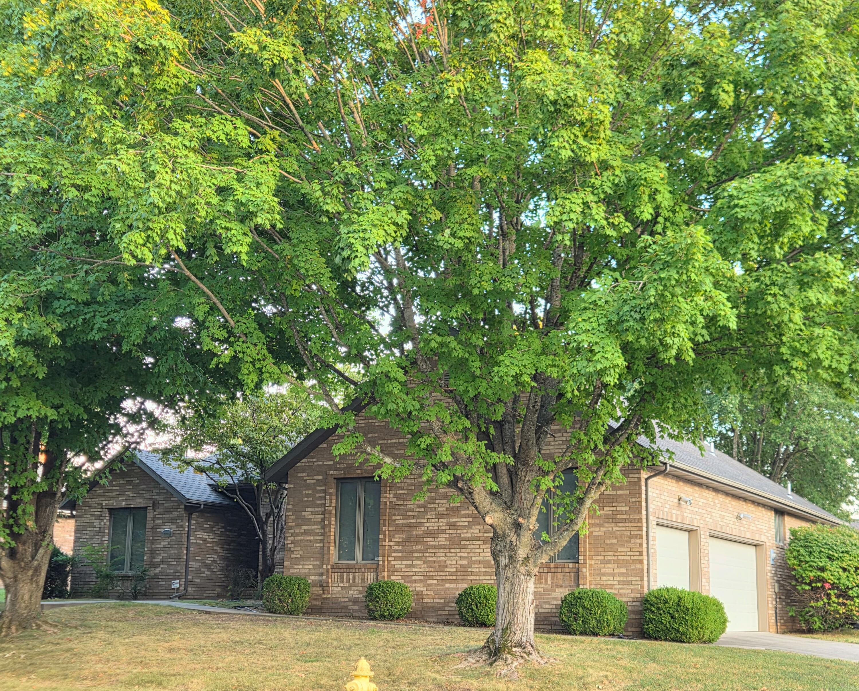 Photo 13 - Residential for sale – 1228 W Beekman Street  Springfield, MO