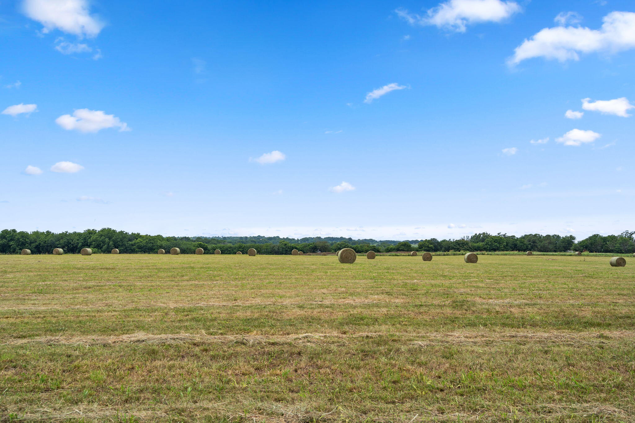 Photo 23 - Land for sale – 9140 W State Highway Tt   Republic, MO