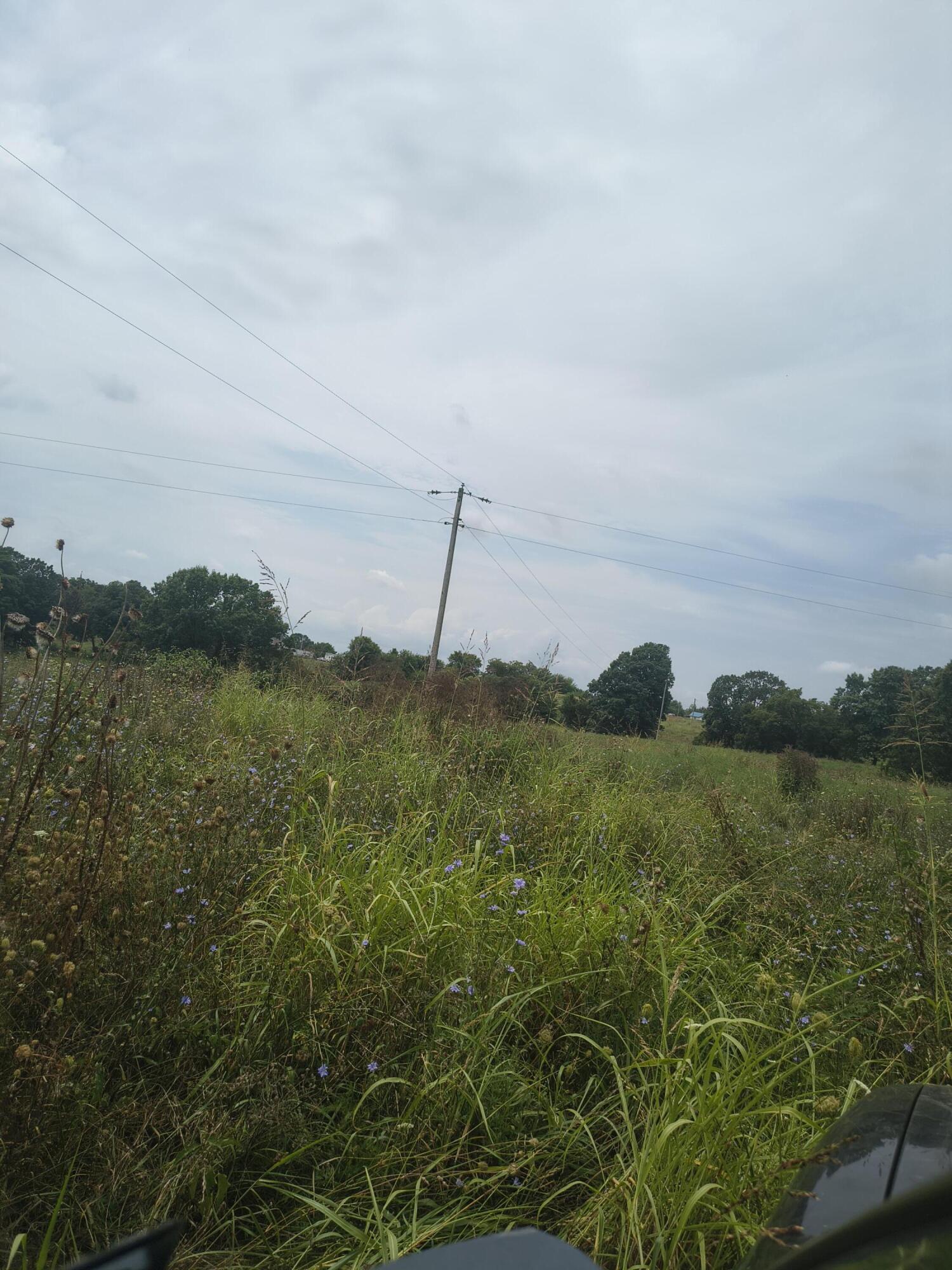 Photo 6 - Land for sale – 1830  Sweet Corn   Galena, MO