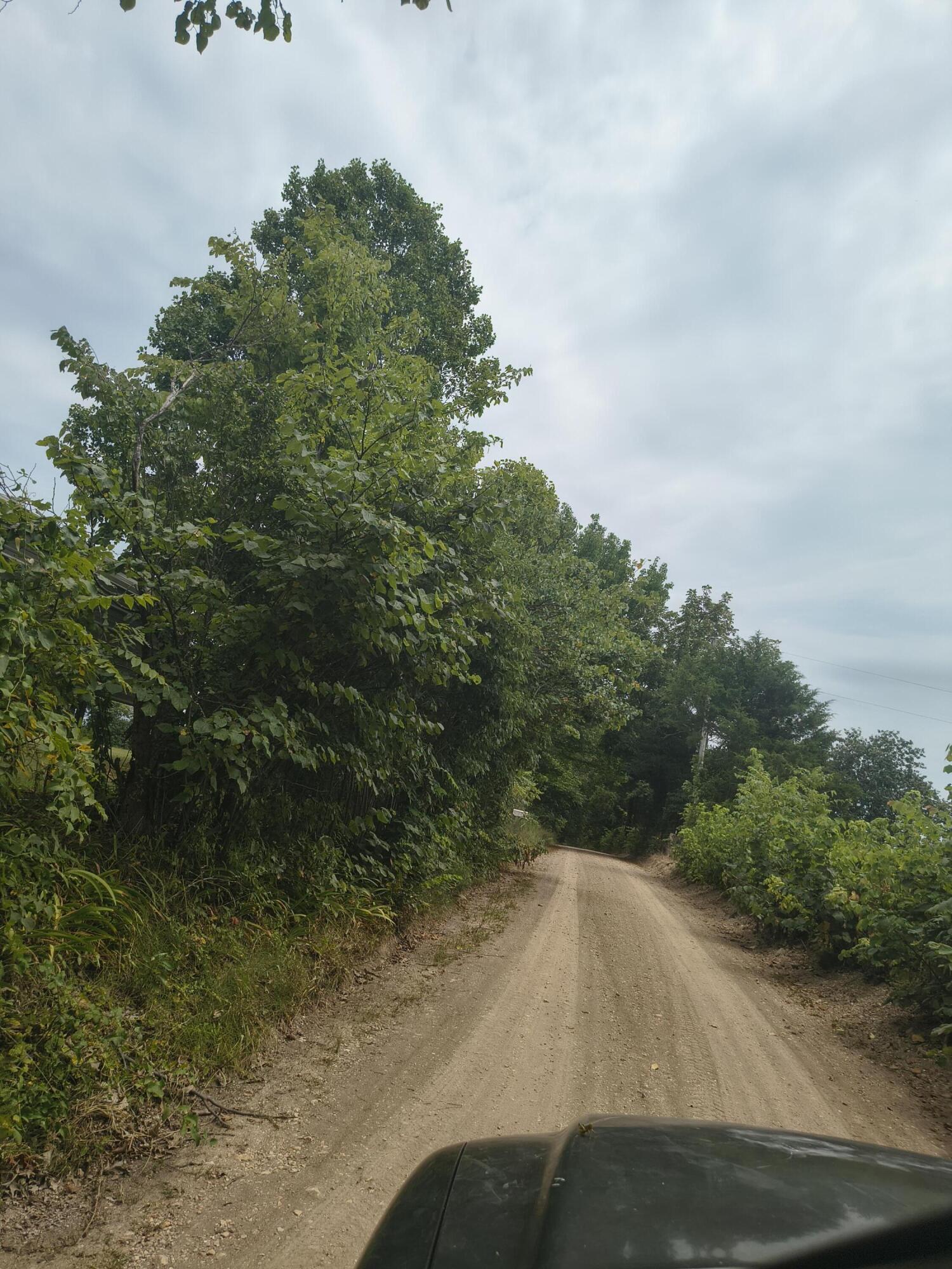 Photo 2 - Land for sale – 1830  Sweet Corn   Galena, MO